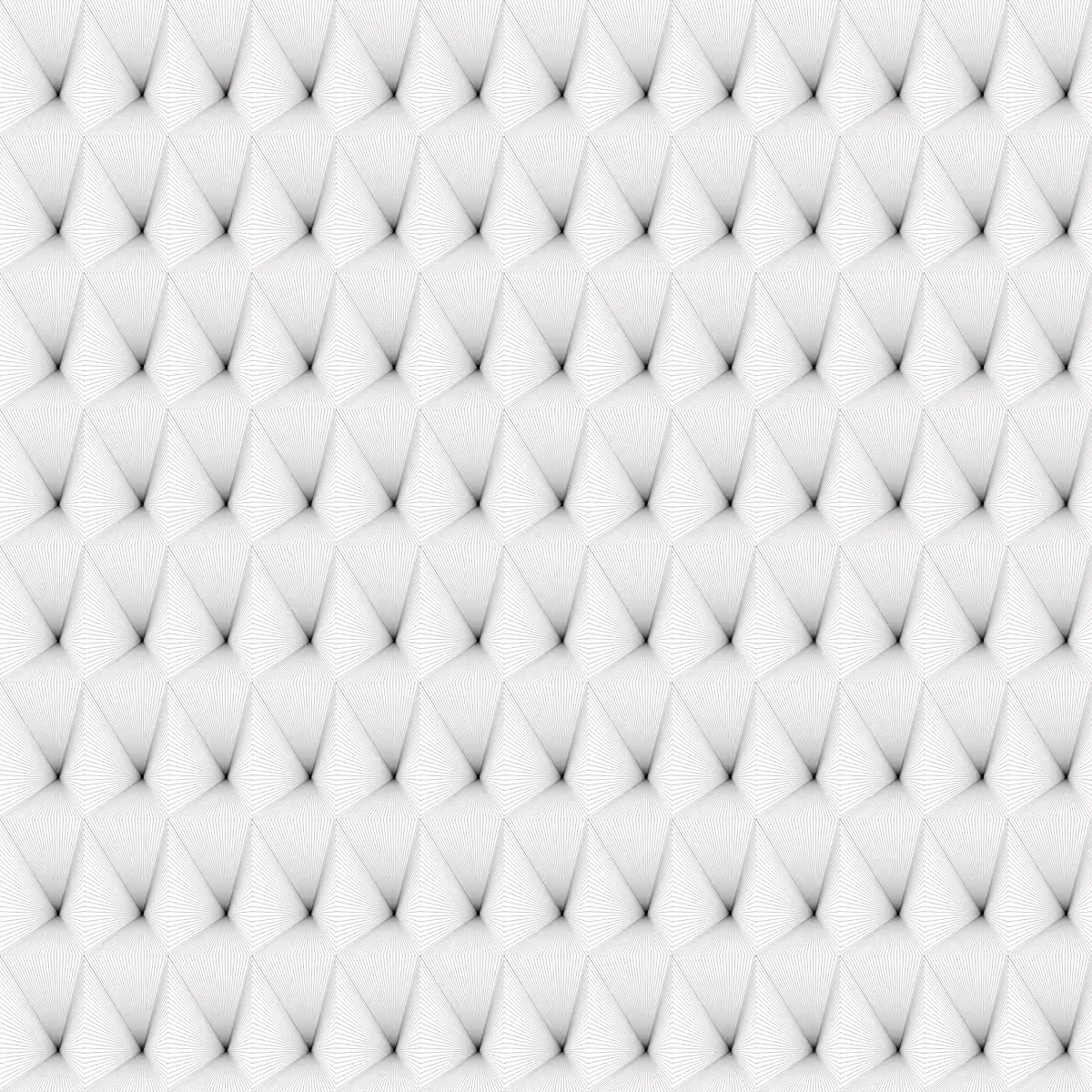 Noir et Blanc #14