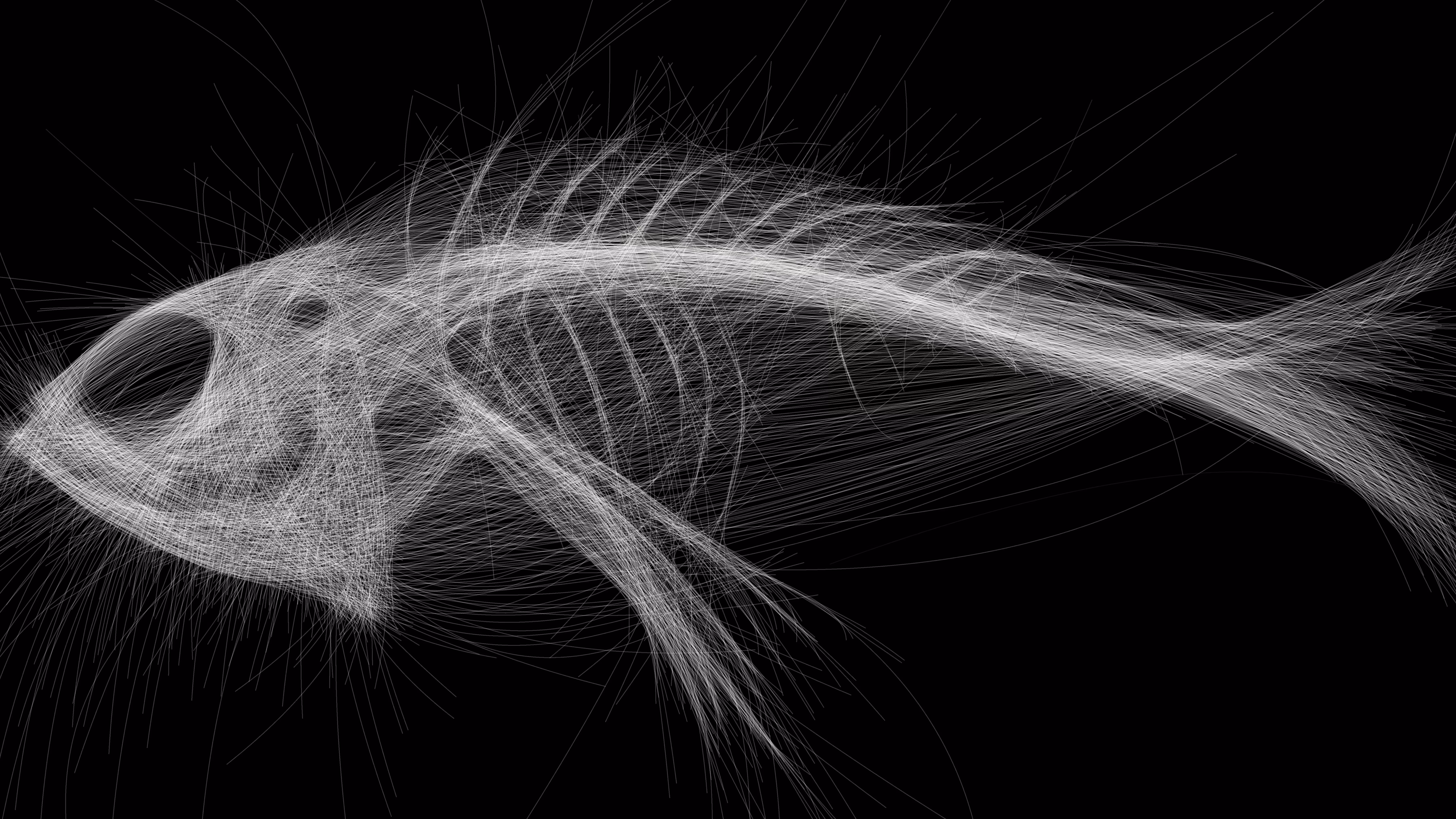 Underwater 277