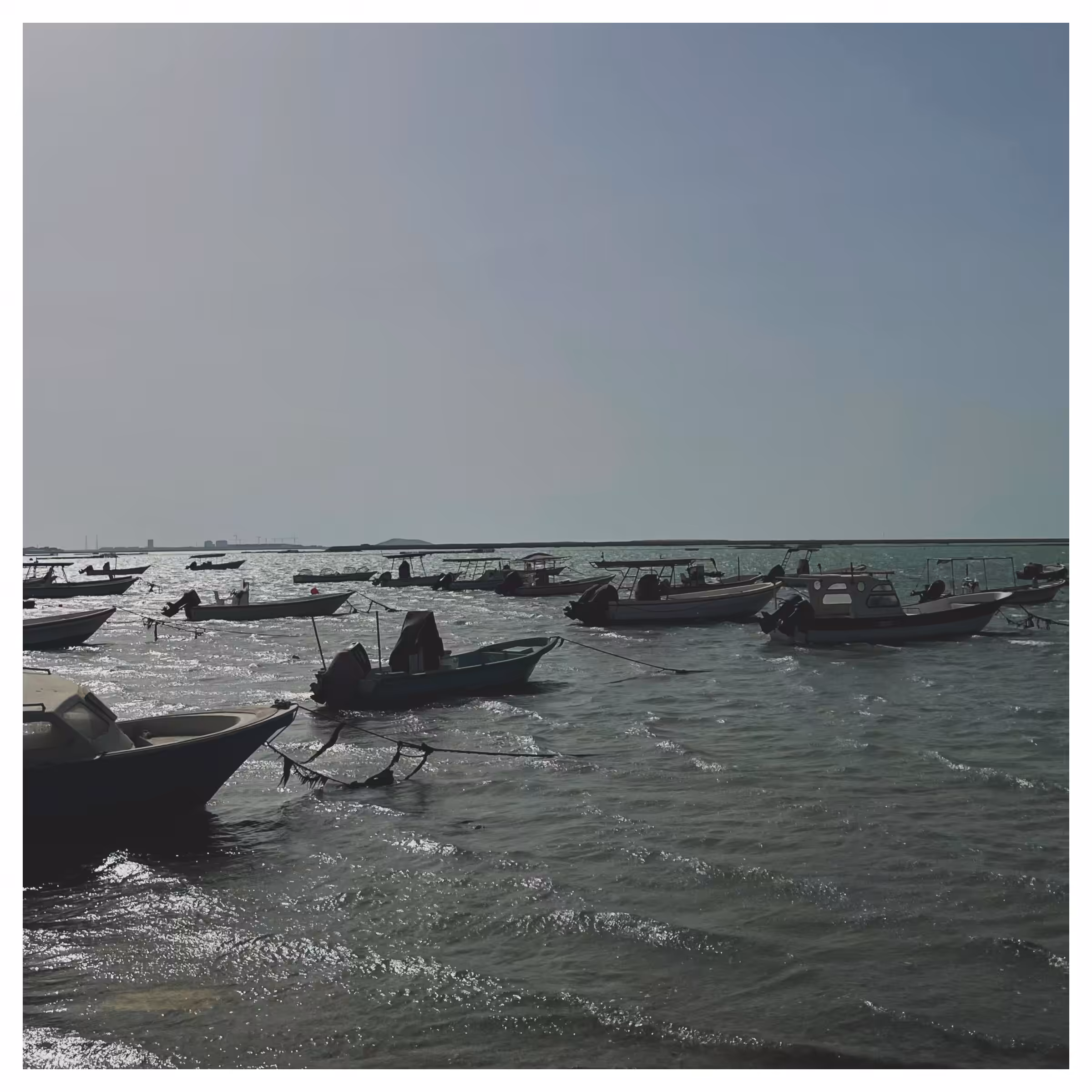 Boats Alone