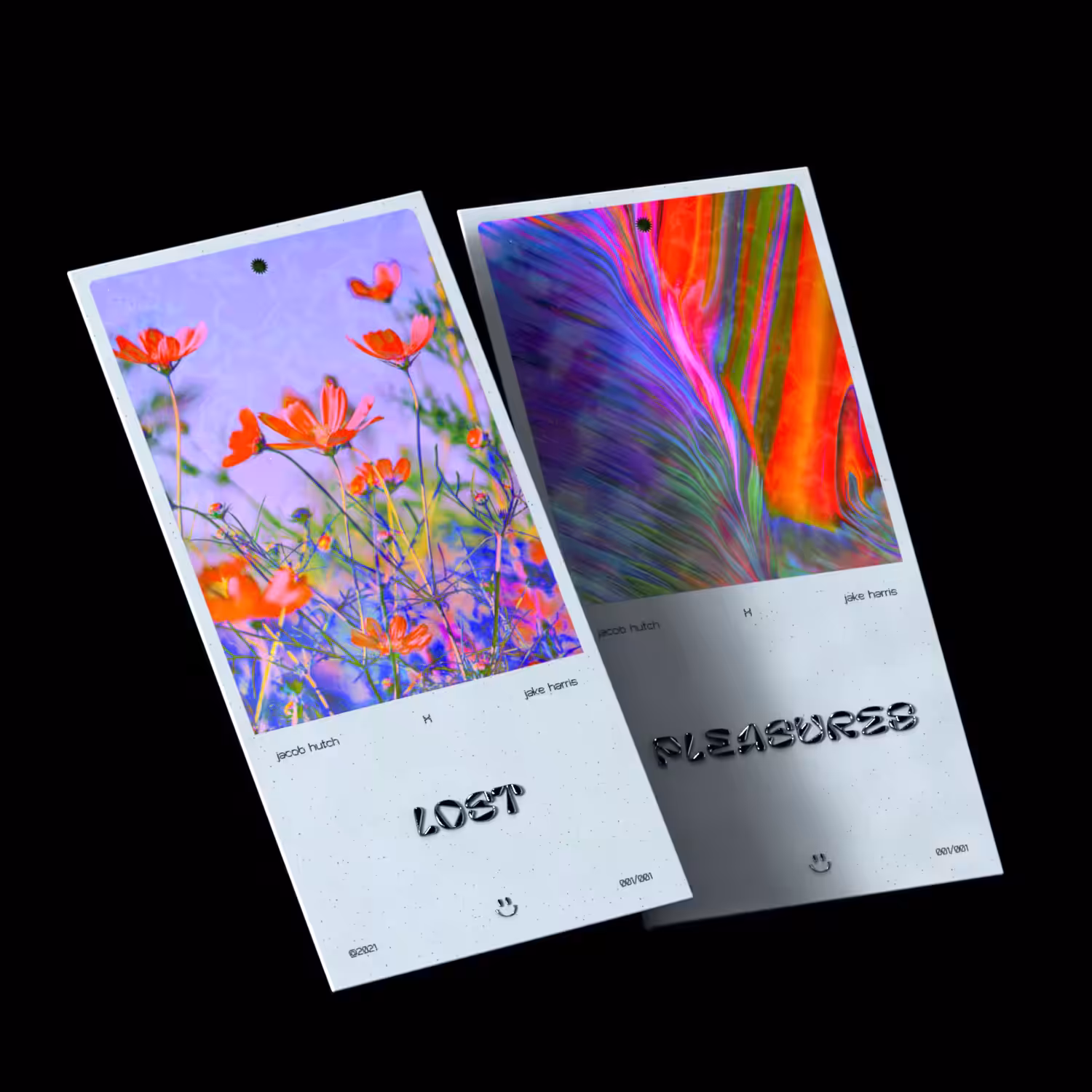 LOST PLEASURES