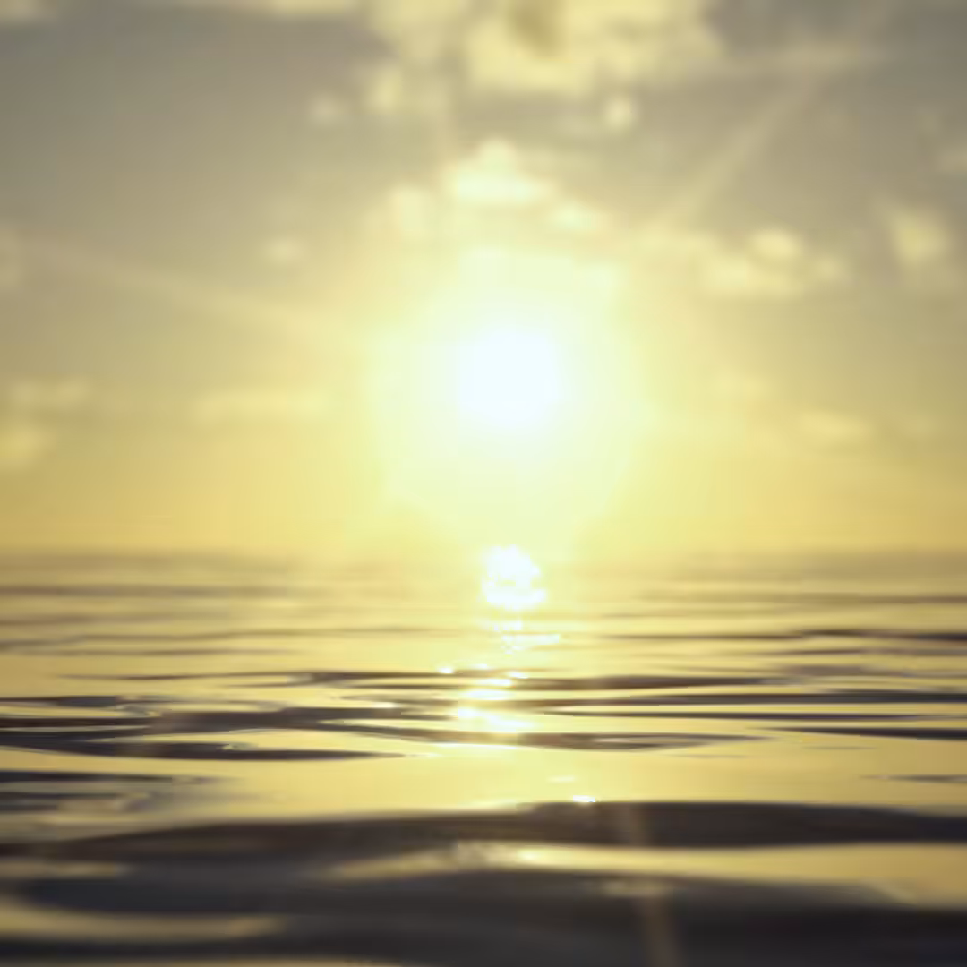 SURYA NAMASKAR