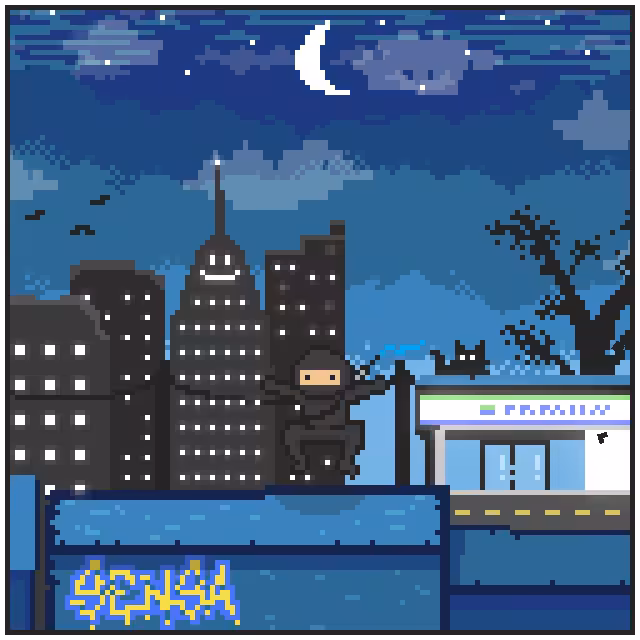 City Ninjaz #24