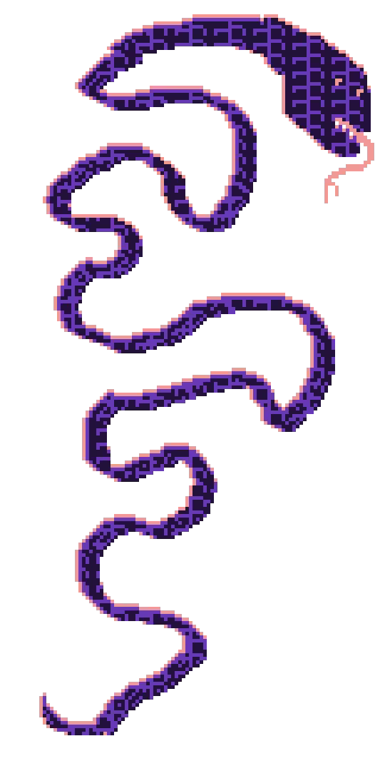 TeniaSnake