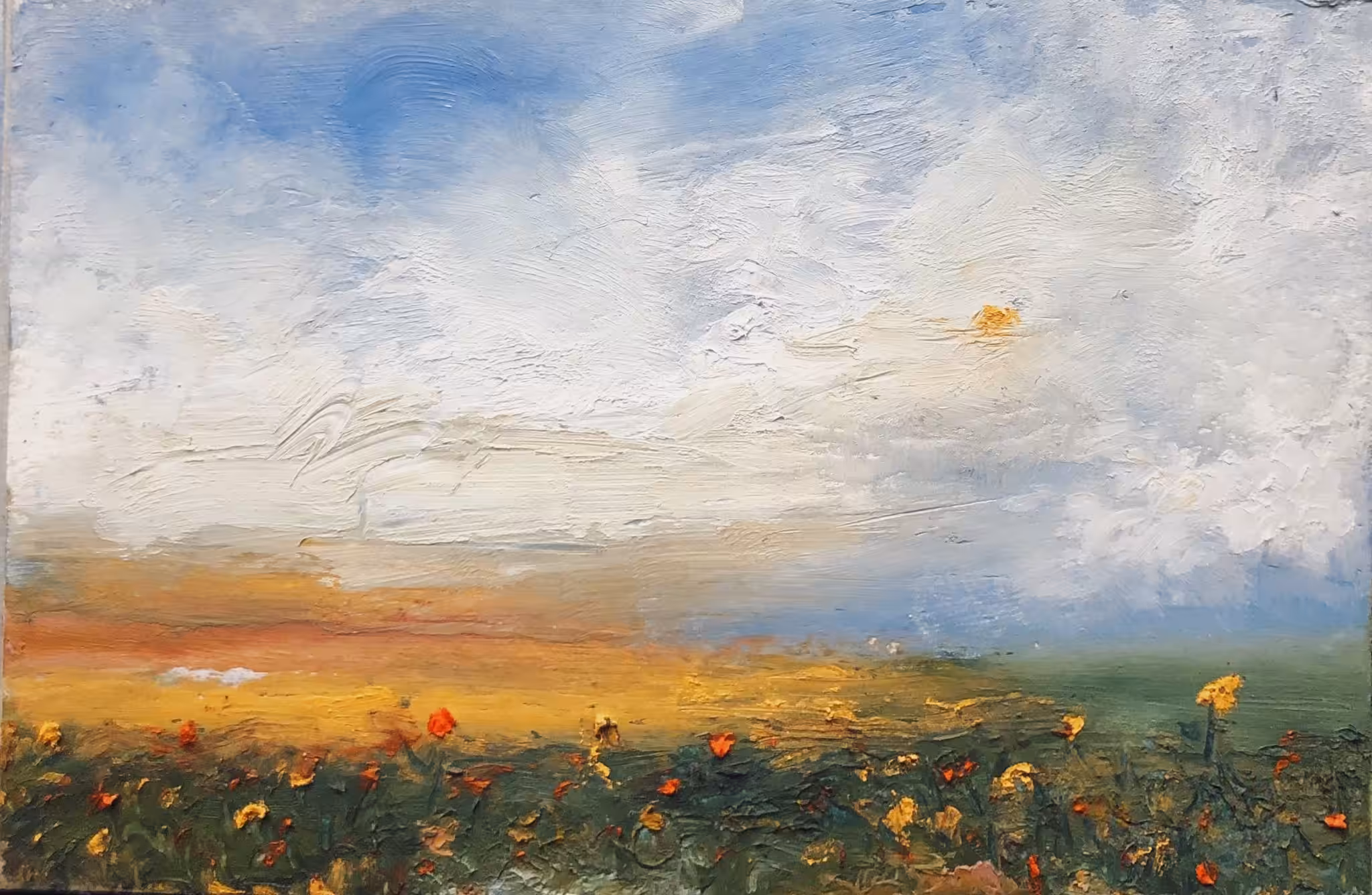 Fields of Warmth