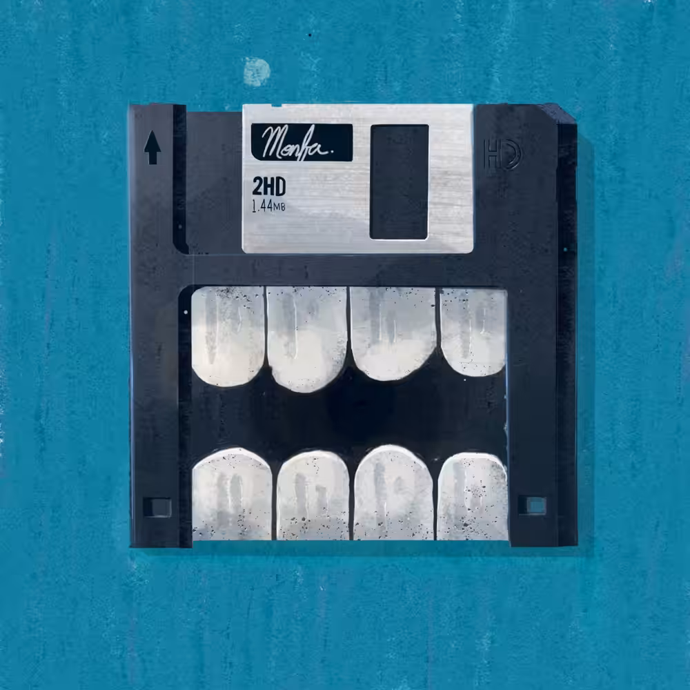 Floppy The Disk