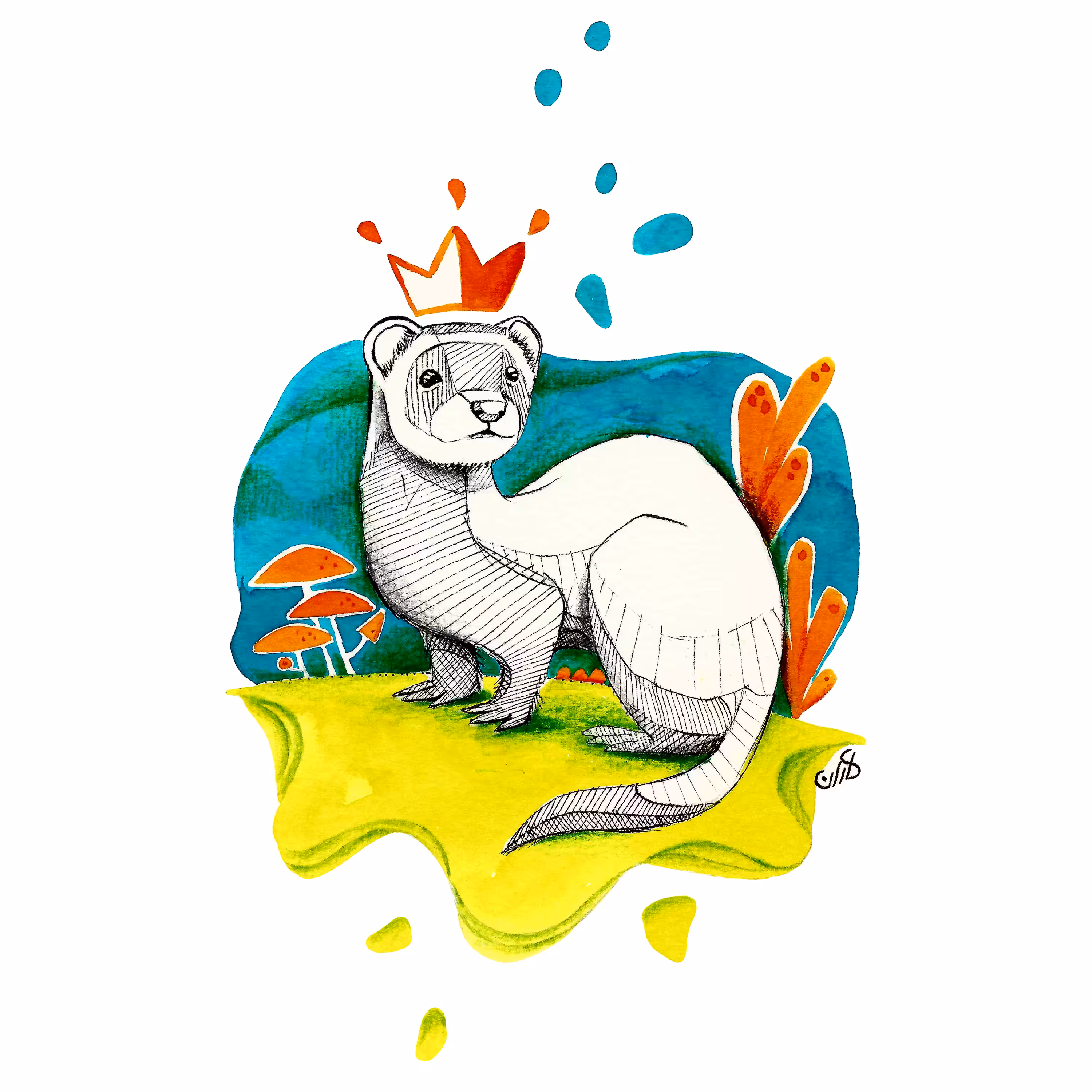 The Ferret King