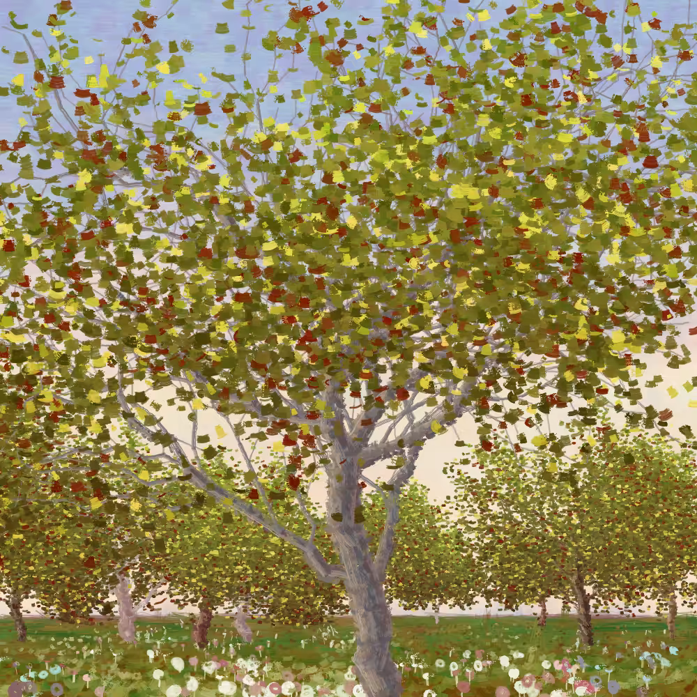 Grove #157