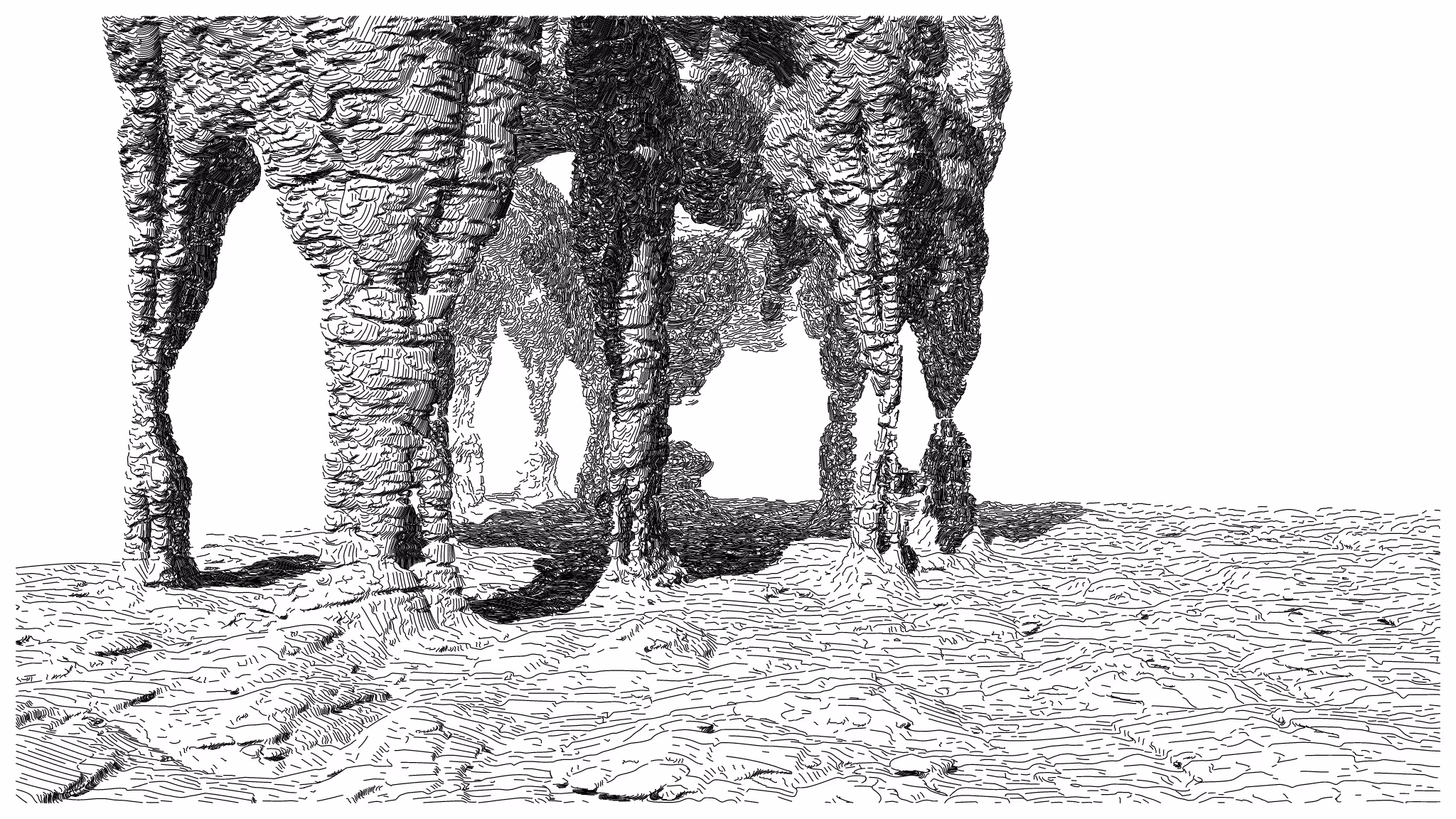 GEOMORPHISM #193