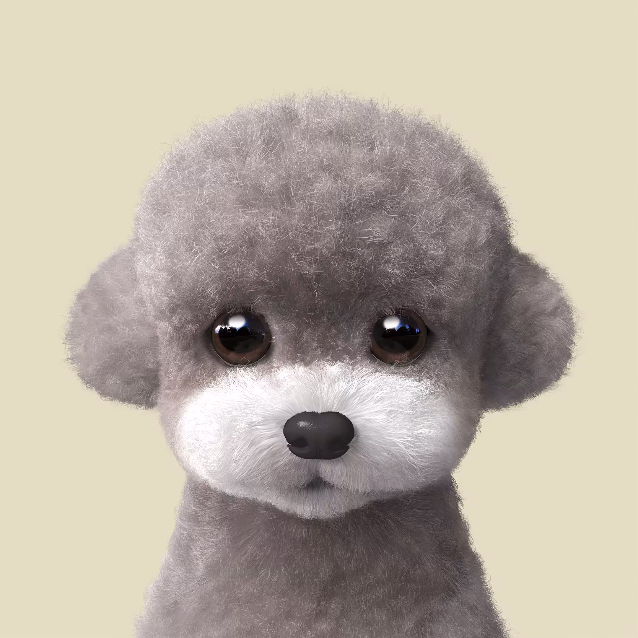 #357 Earlgray the Poodle