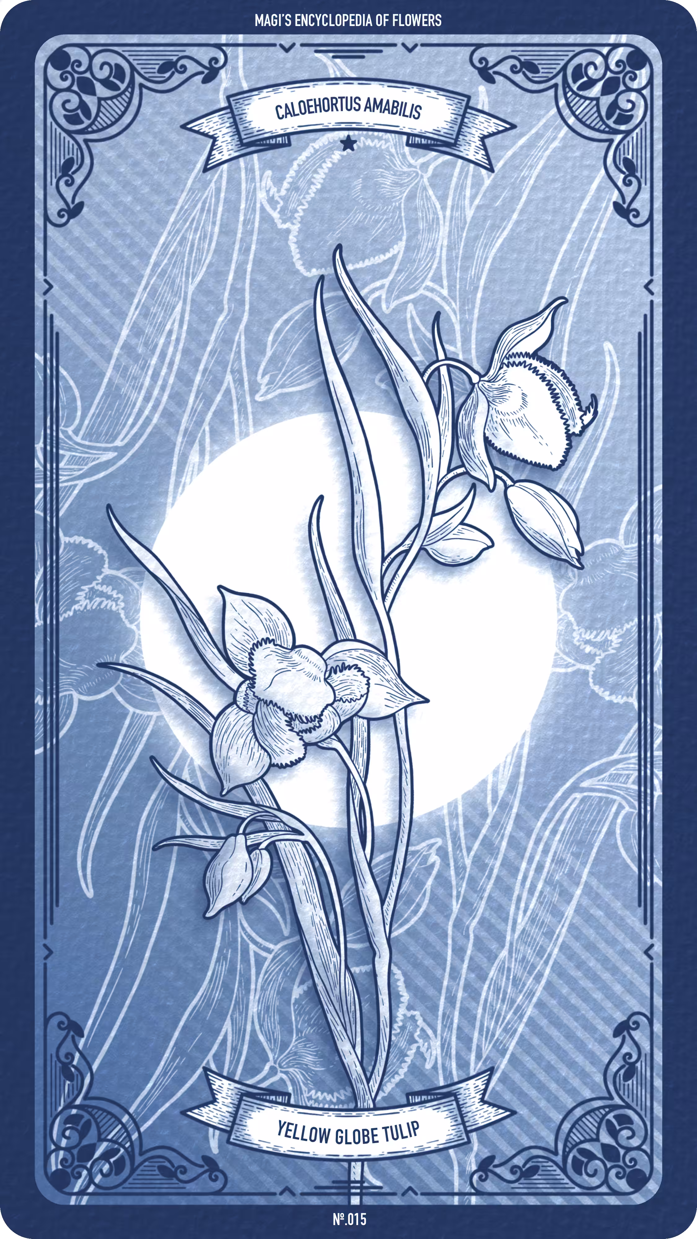 015 Yellow Globe Tulip