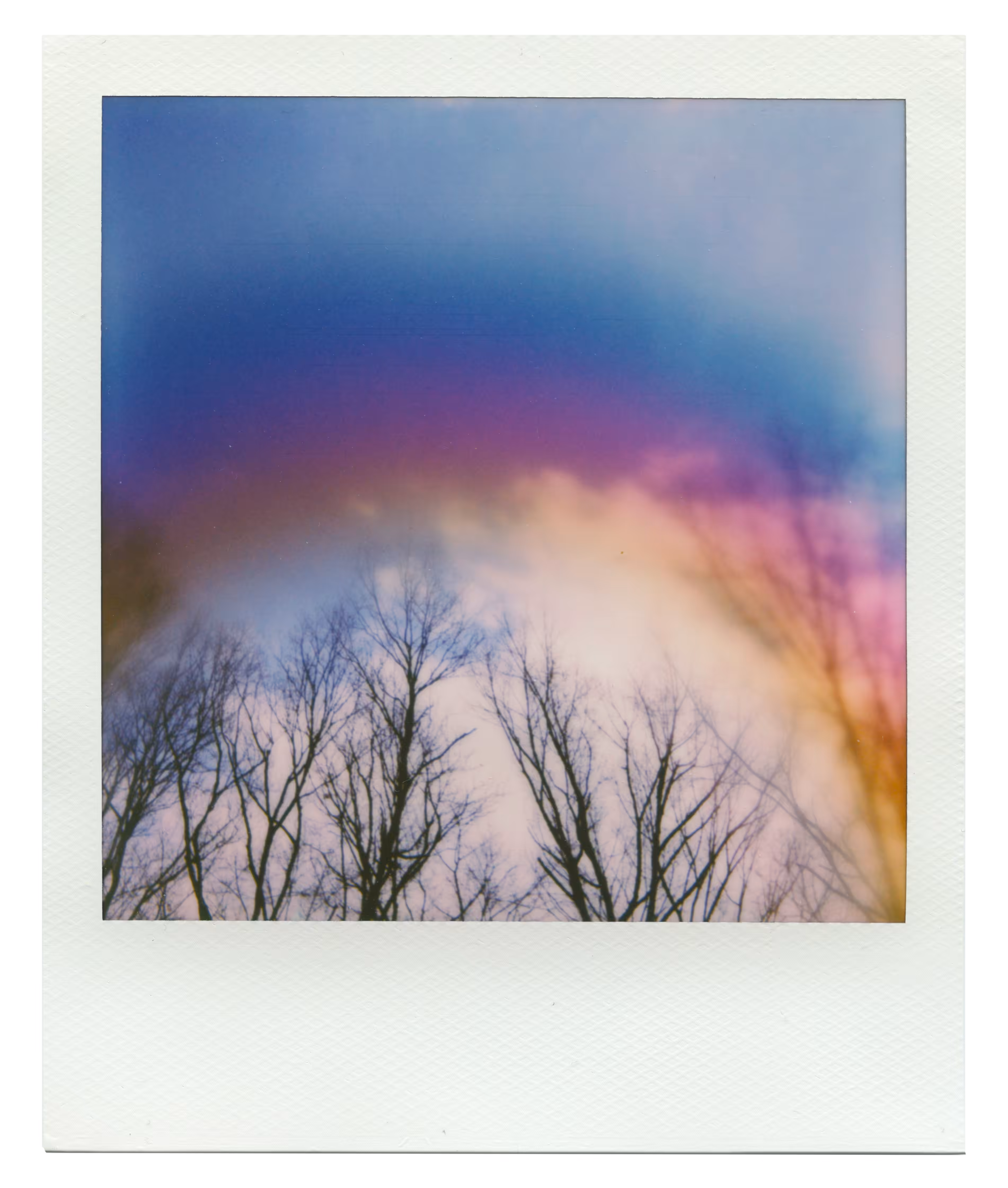 Manifestation