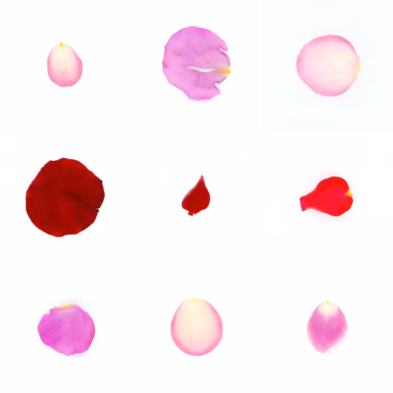 Infinite Petals 3x3#3635