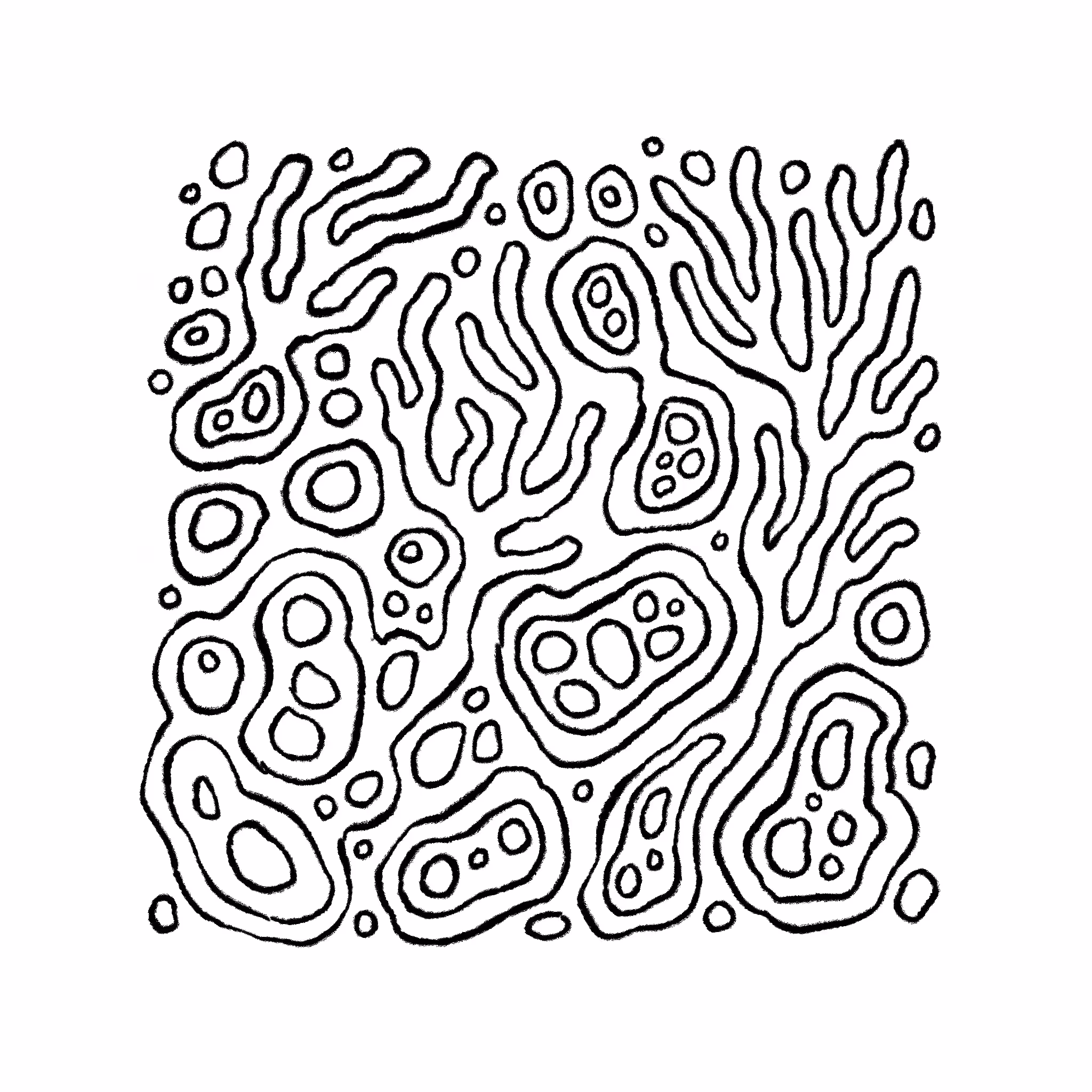 •••021•••