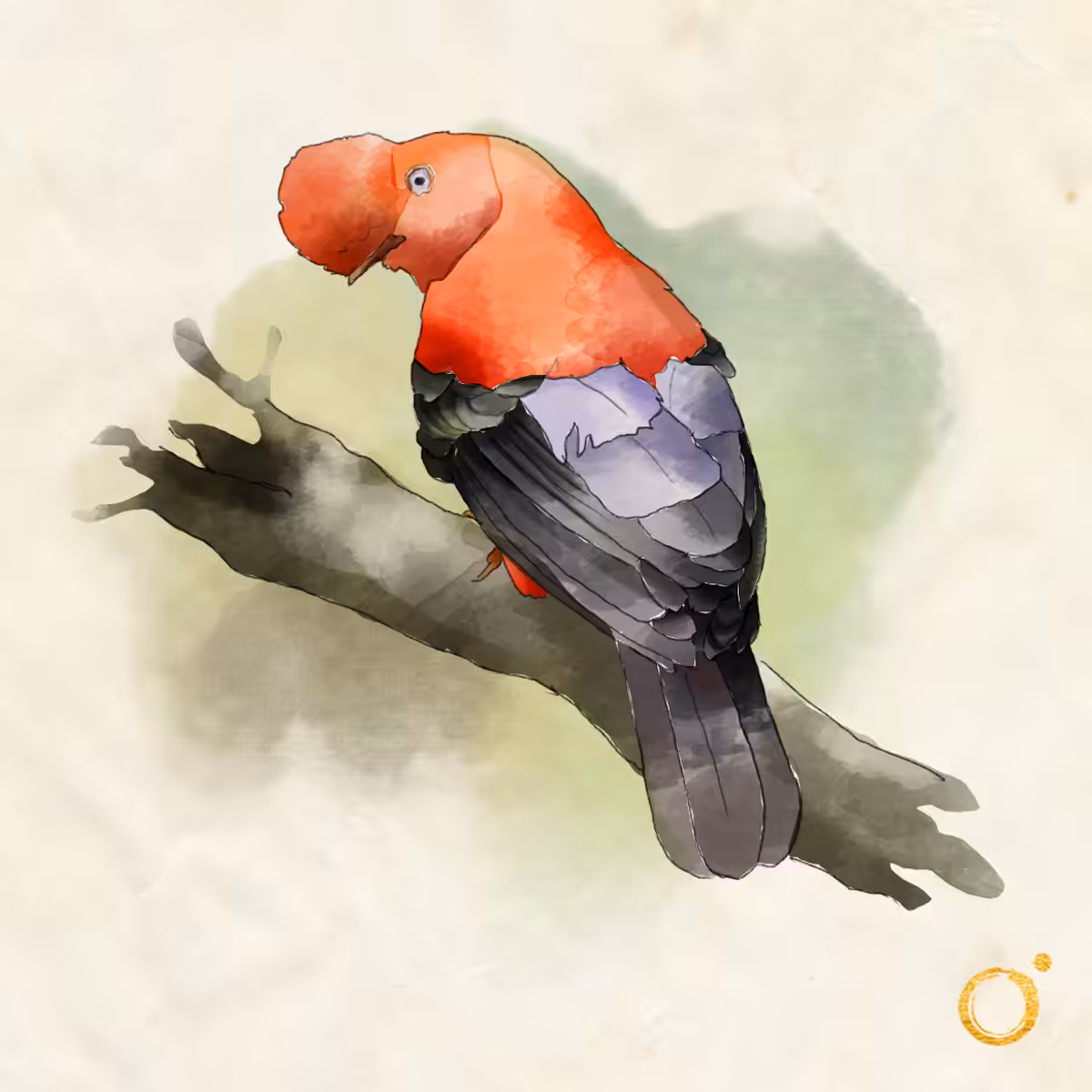 BM-007