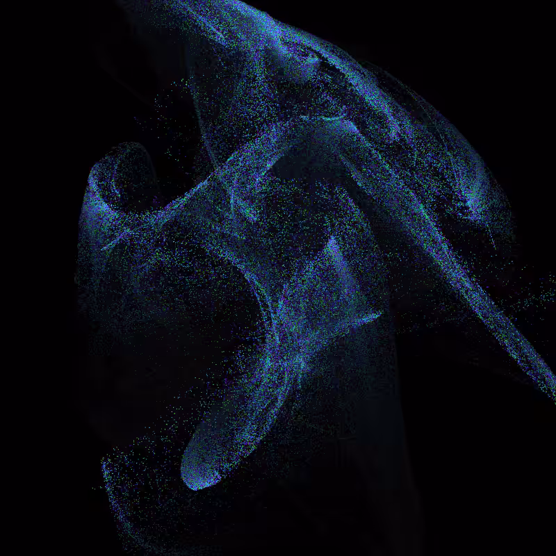 Fractal Amoeba #212