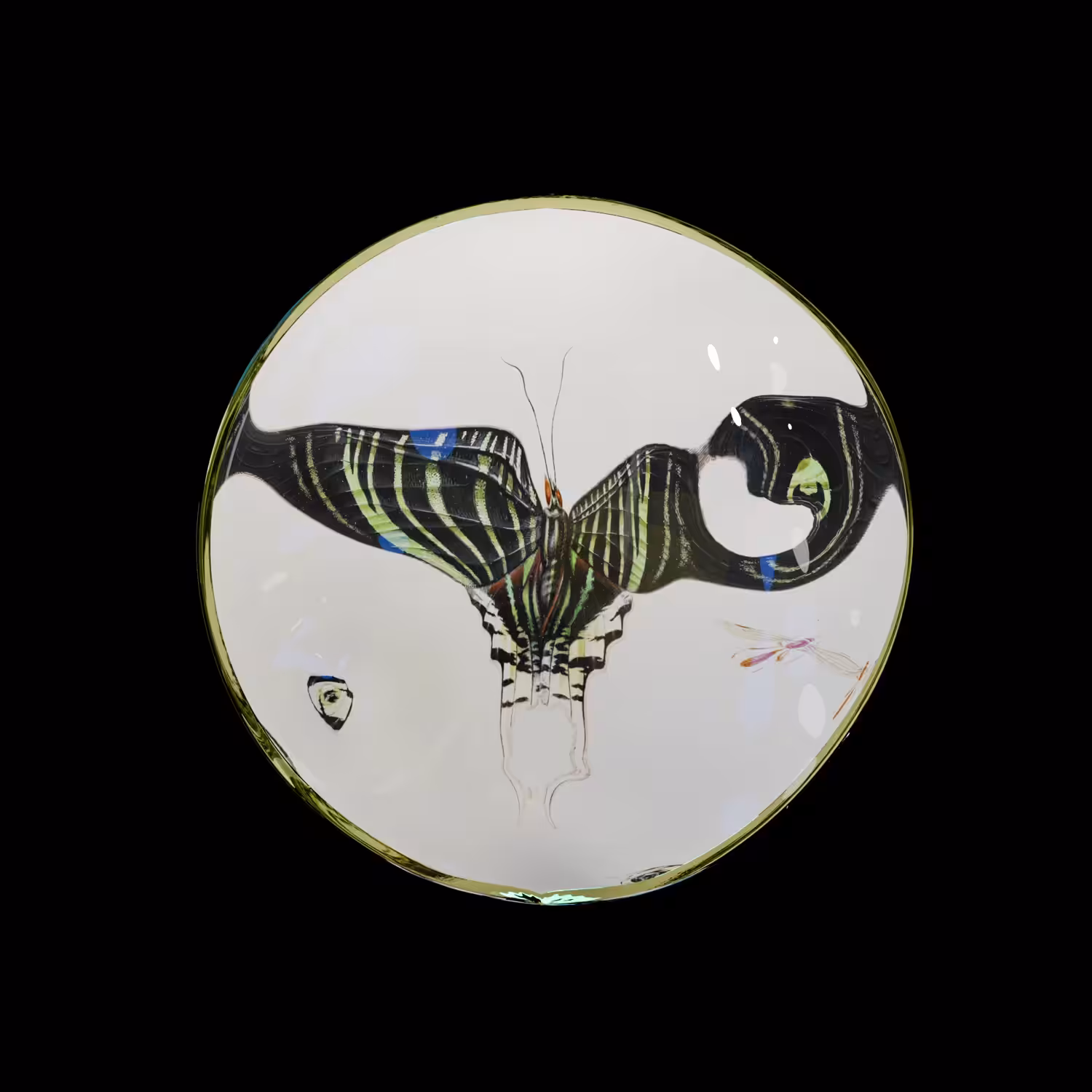 Butterfly Collection no.5