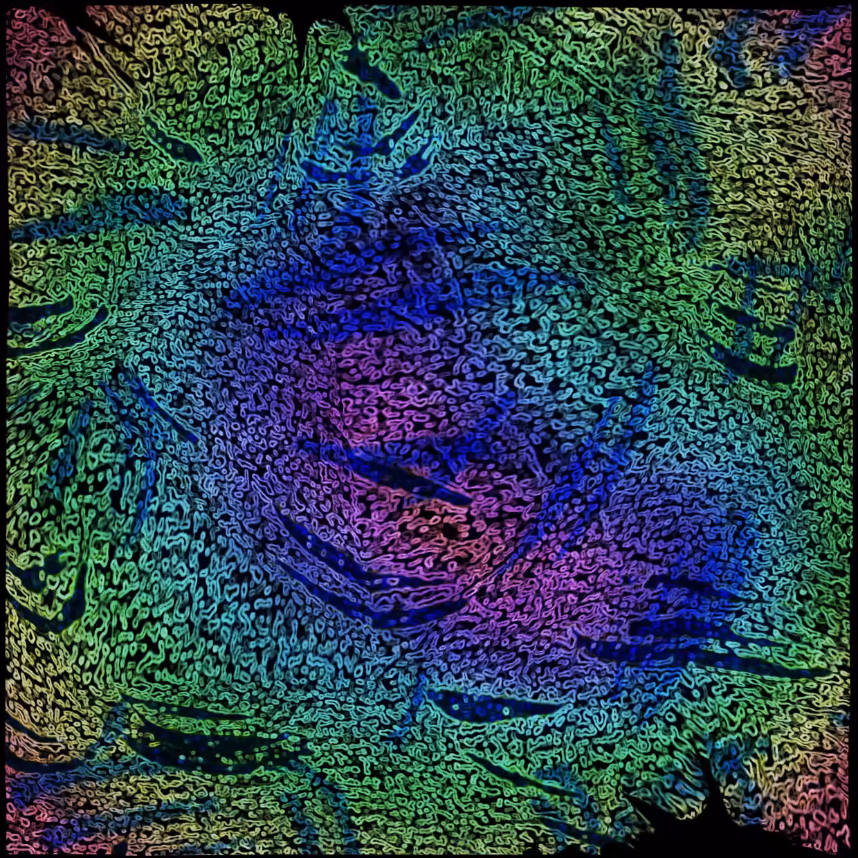 Cell 18