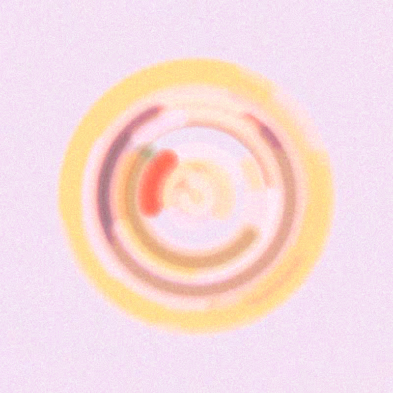 Wisp #281