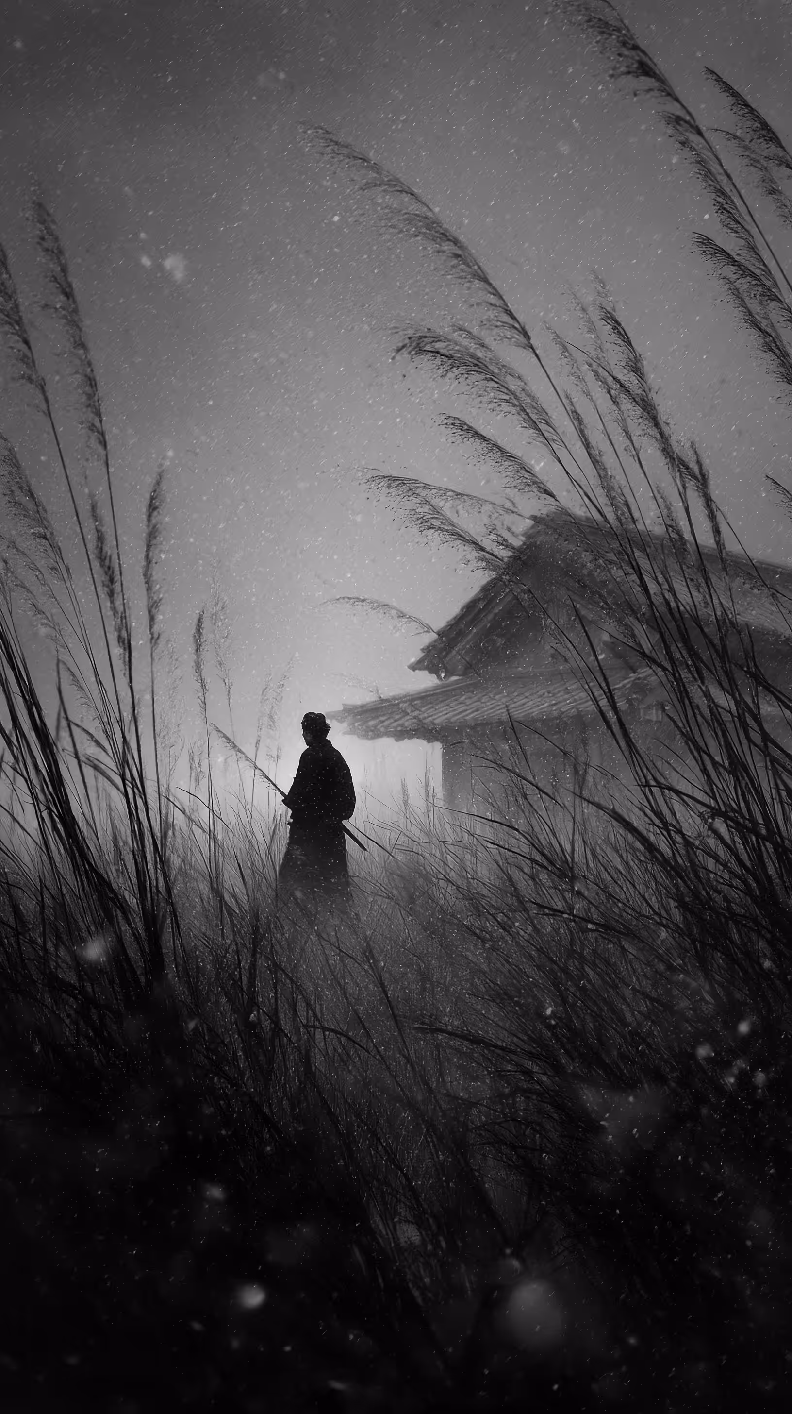 Where the Wind Waits