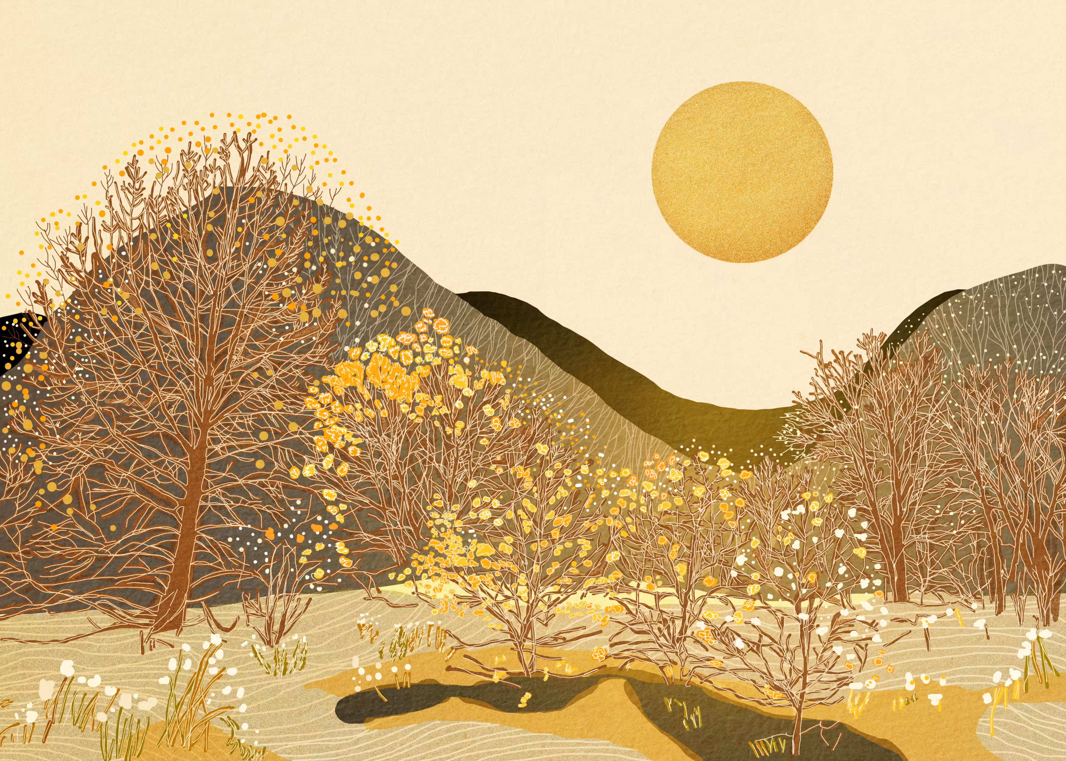 Orange sun