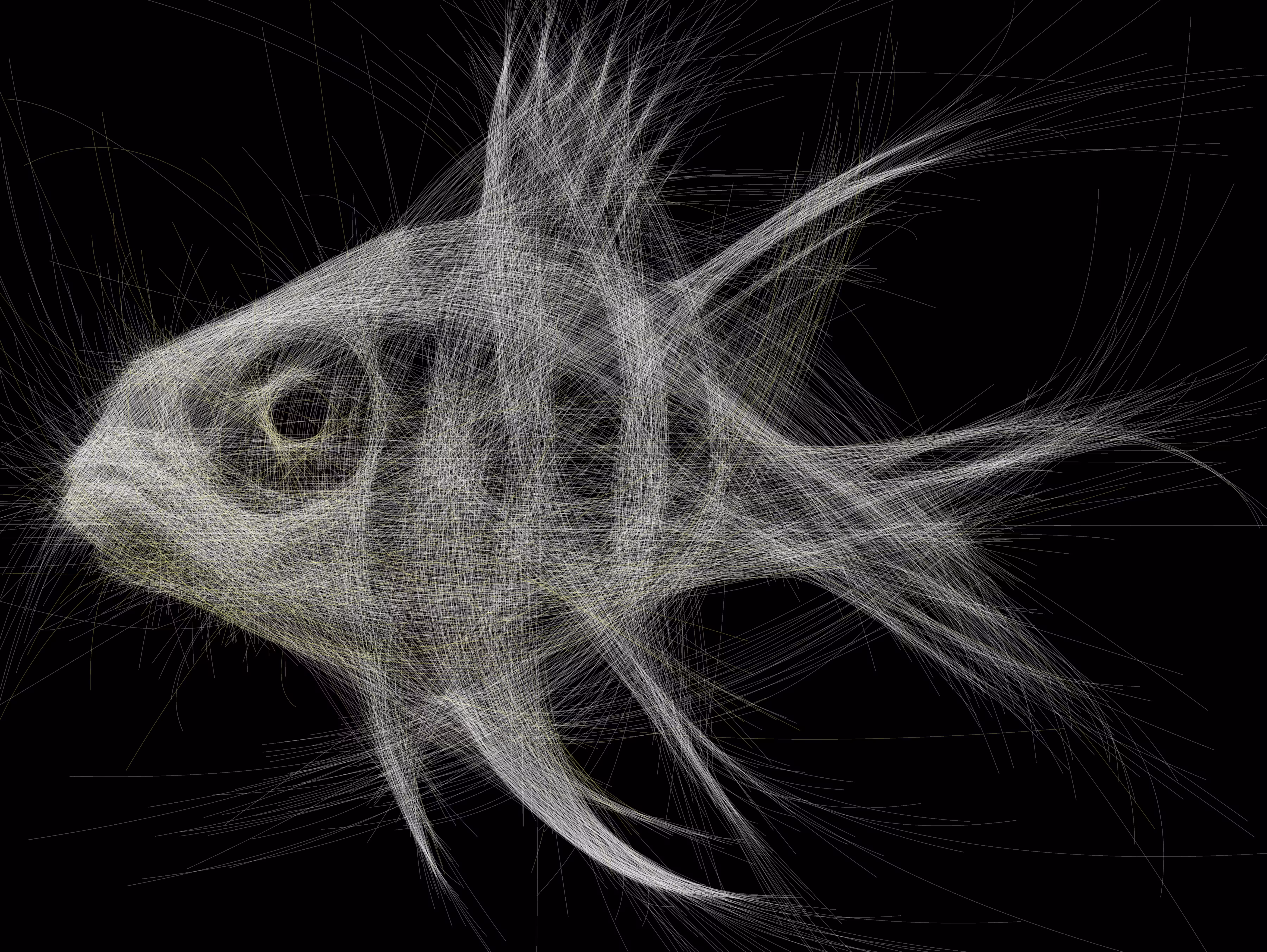 Underwater 144