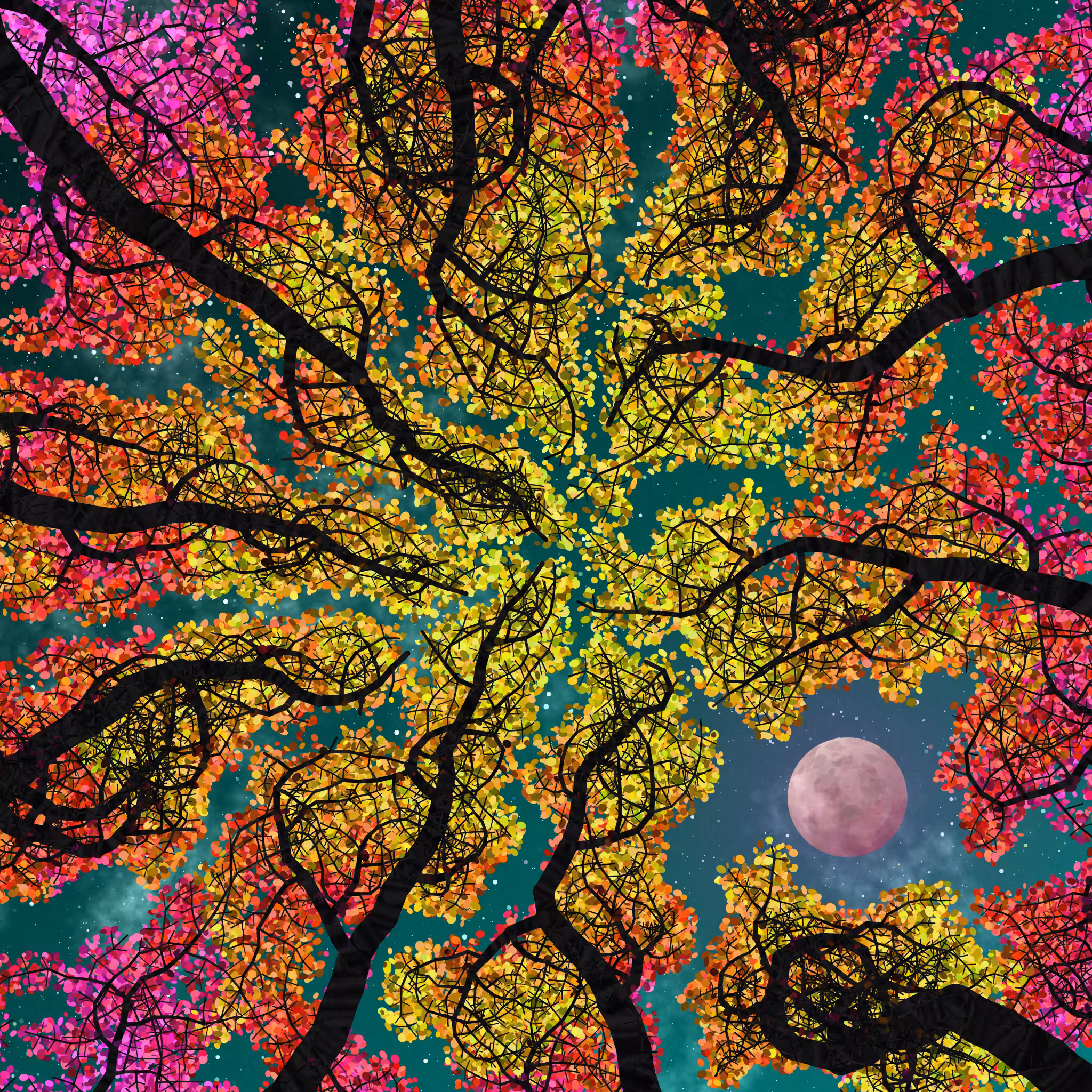 Tree Skyness #18