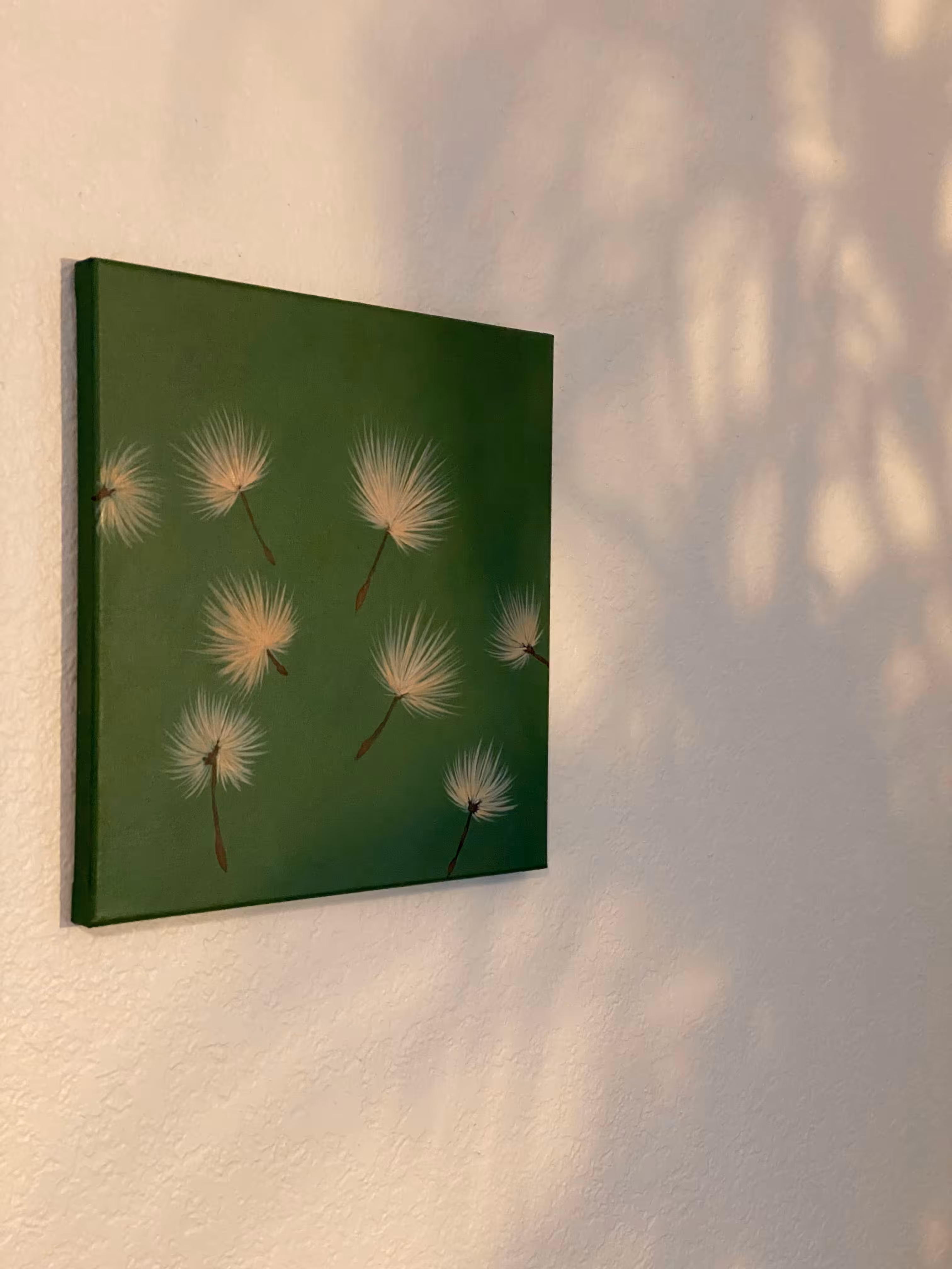 A wish on the wind