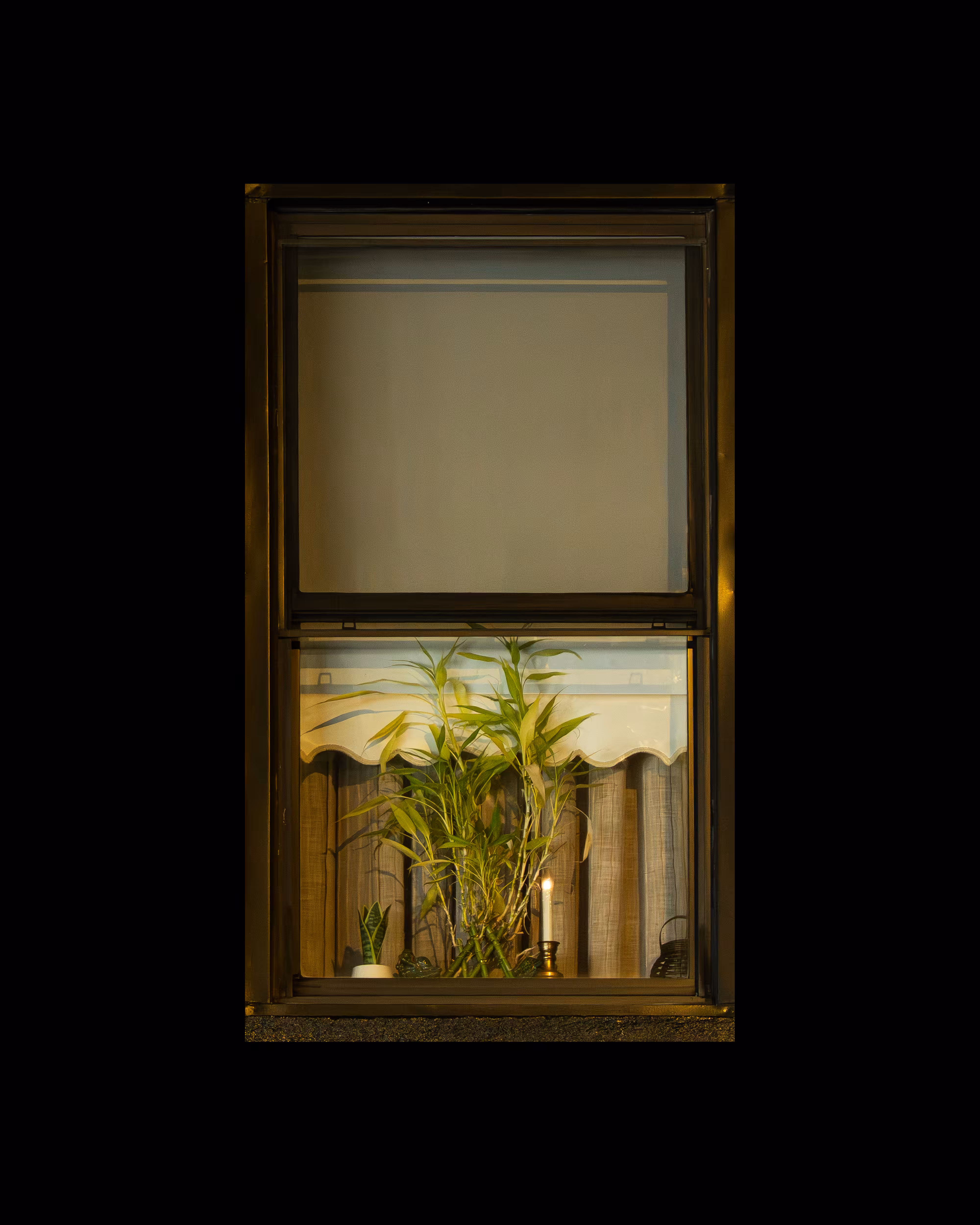 WINDOWS // NYC: WINDOW 432