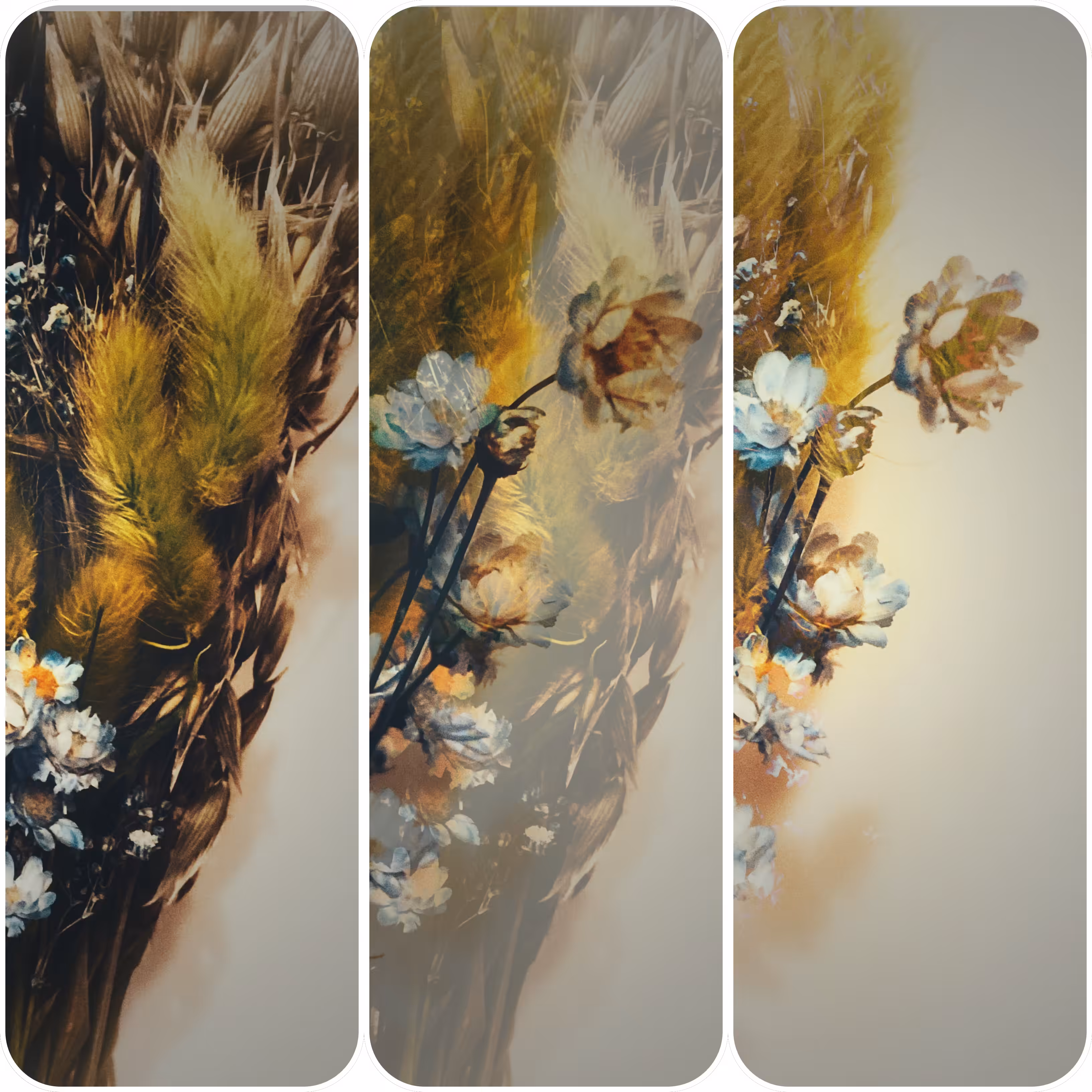 🌾The Field of Dreams: Step by Step 💛