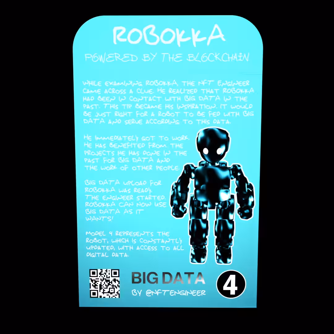04 BIG DATA (ROBOKKA)