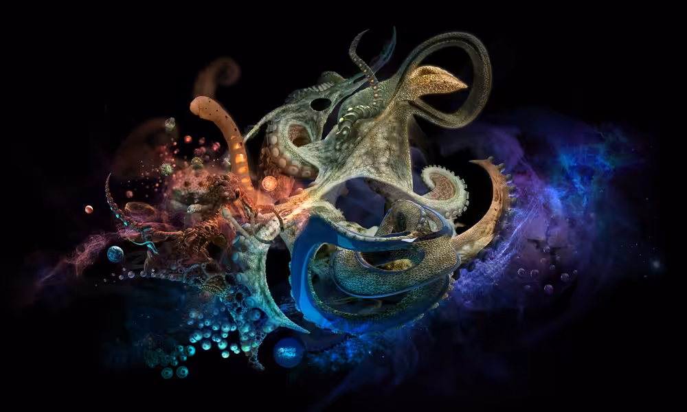 Octopus Abstract