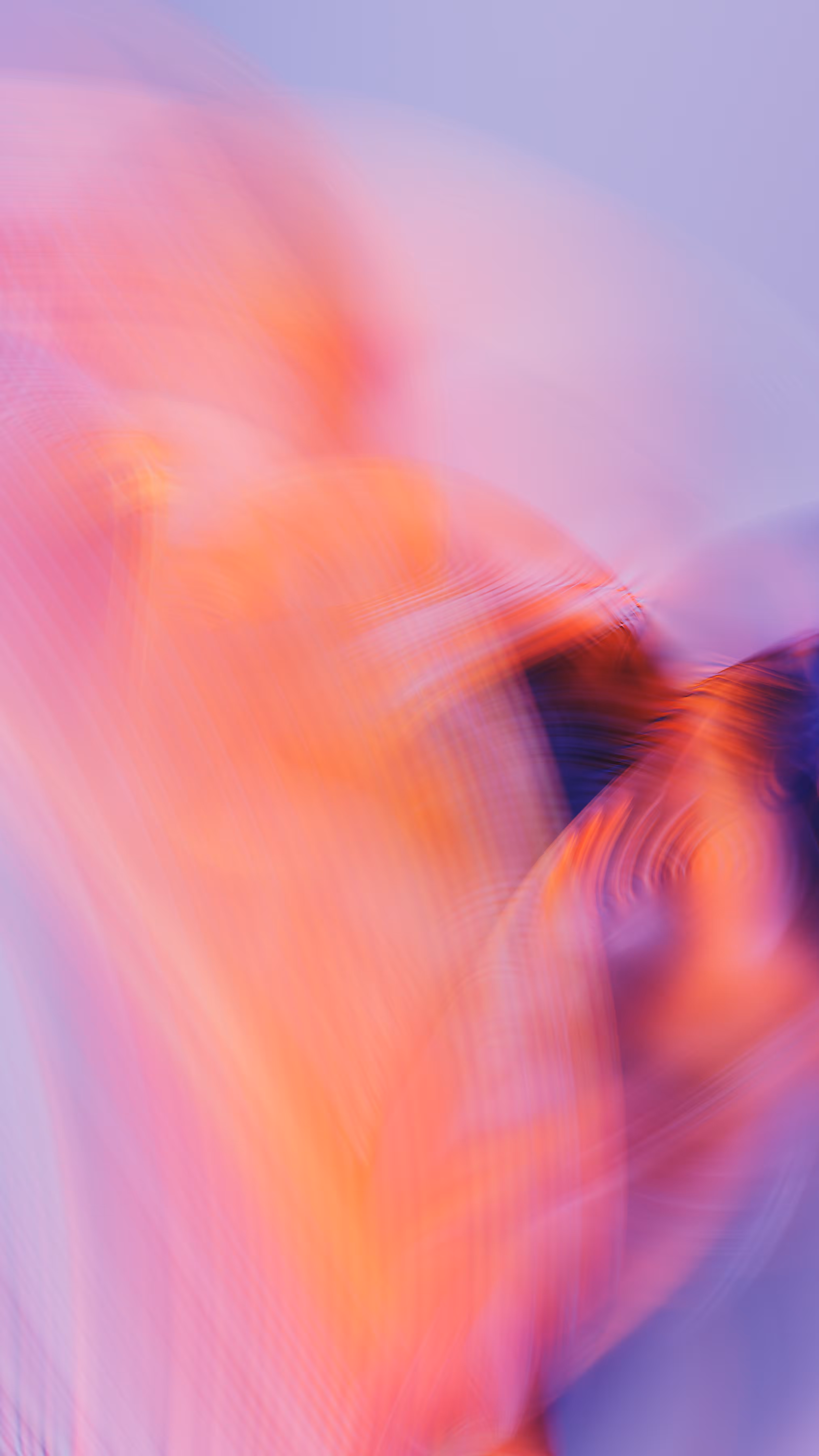 Momentum #56
