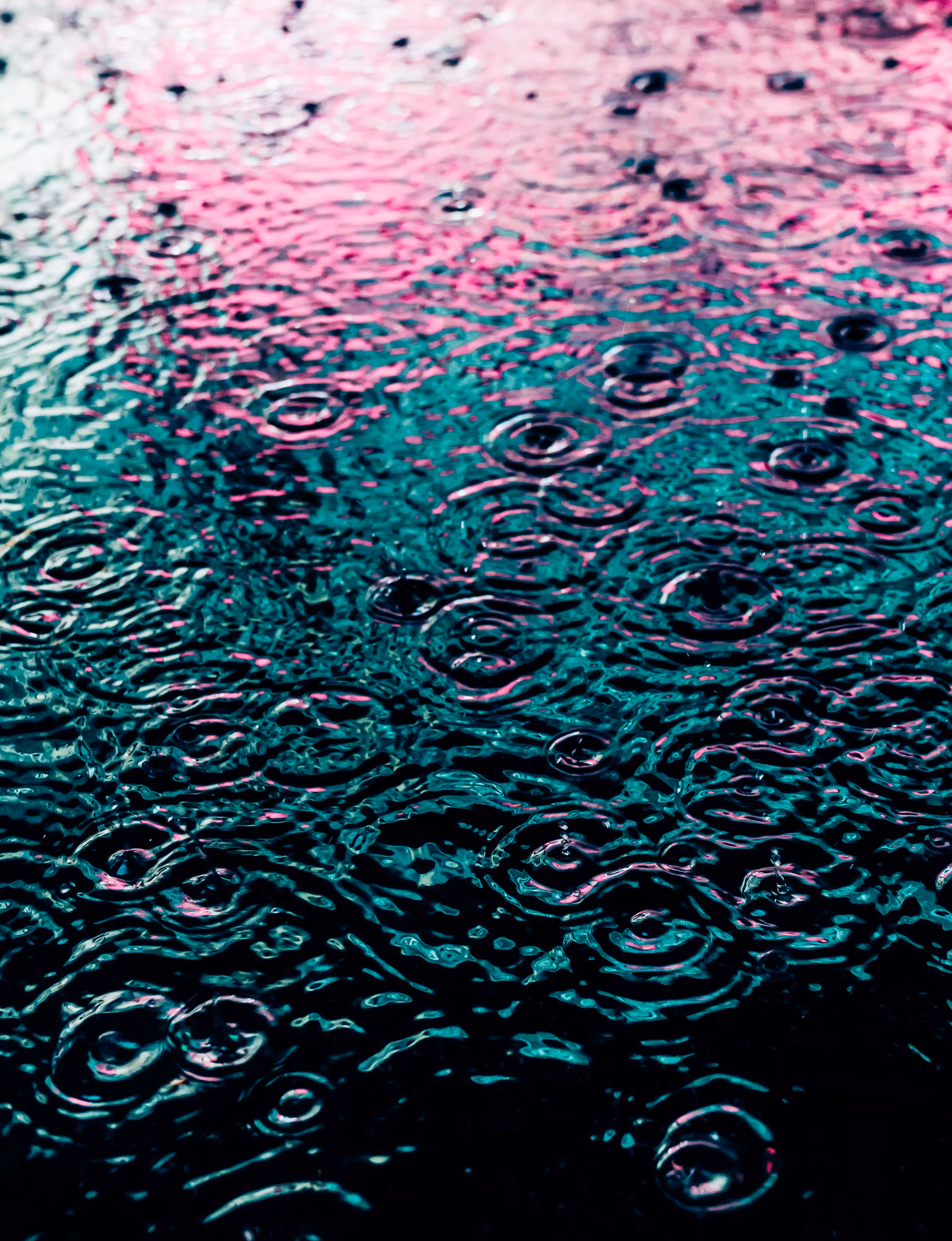 DRIP DROP: DRIP #269