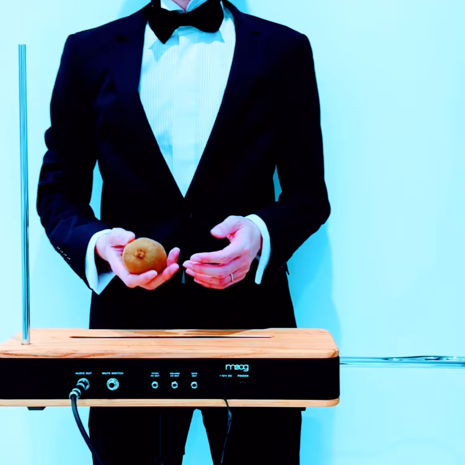 "Kiwifruit" - 8 Bagatelles for Theremin and Autumn Fruits -