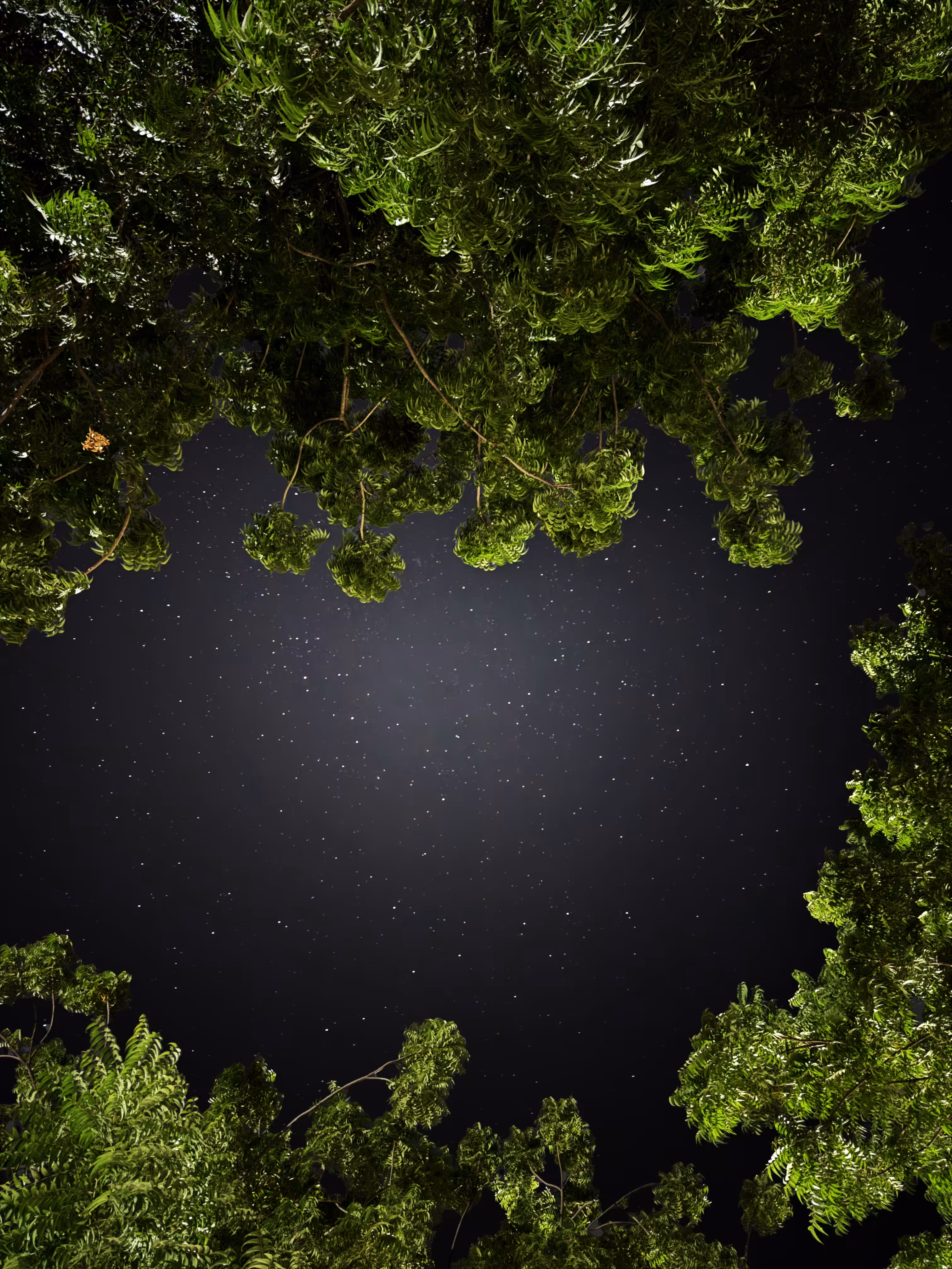 Between here and beyond