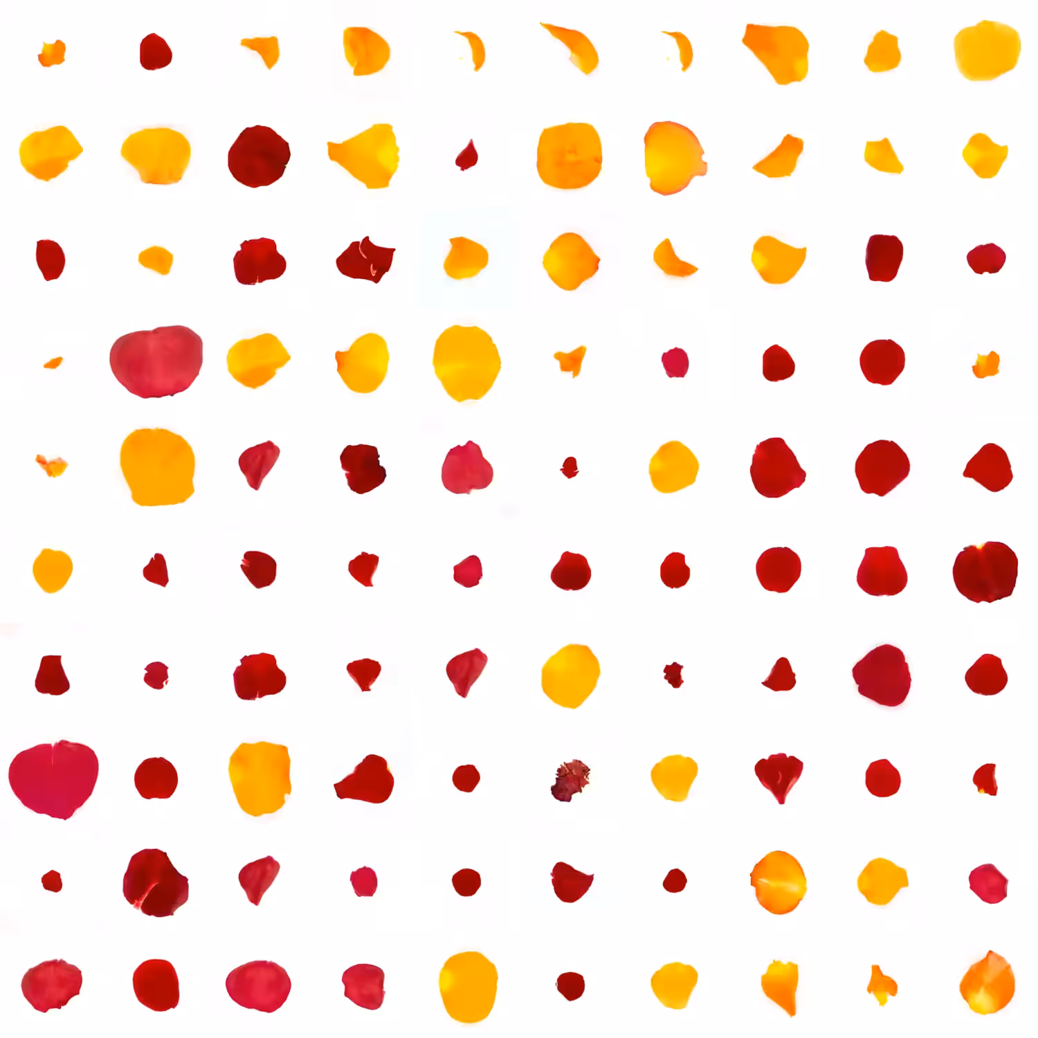 Infinite Petals 10x10#1980