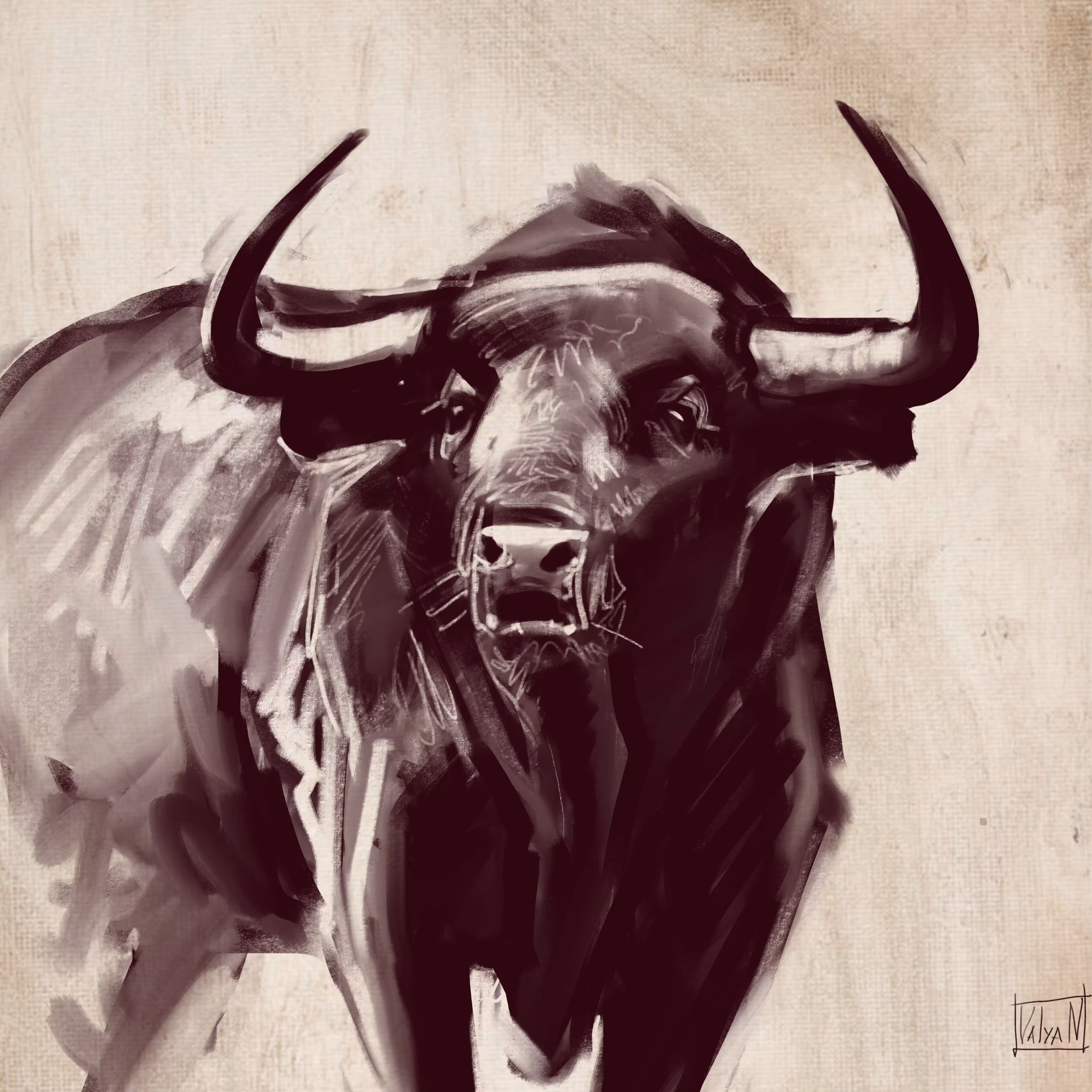 Bull Sketch
