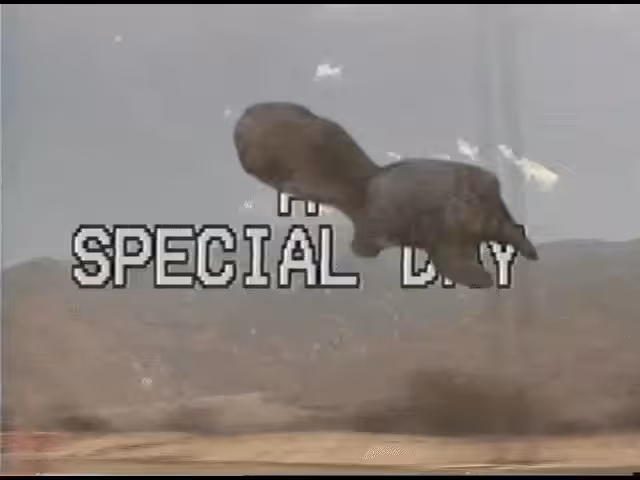 A SPECIAL DAY
