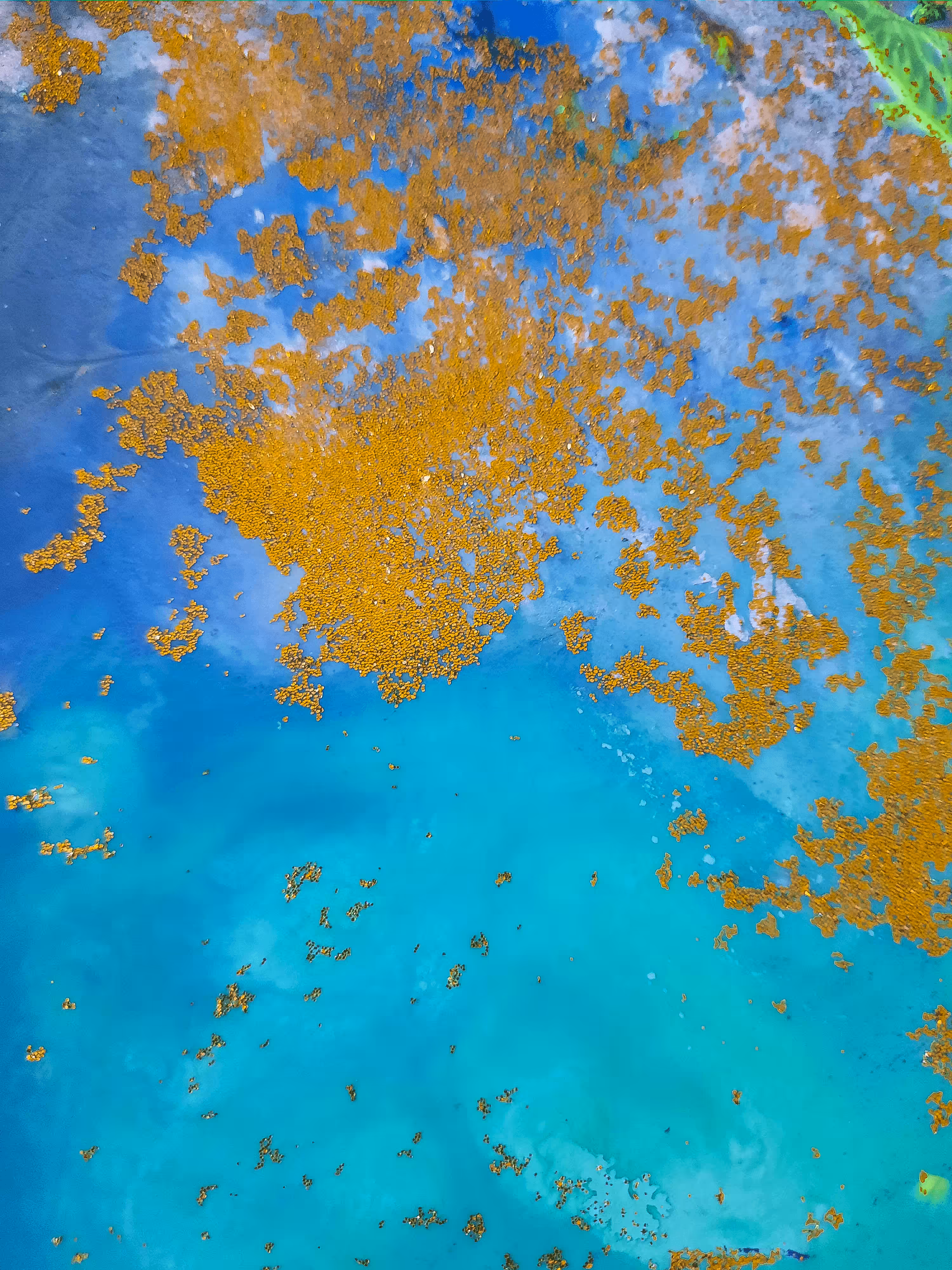 "The power of sea" by Cinthia Ponce