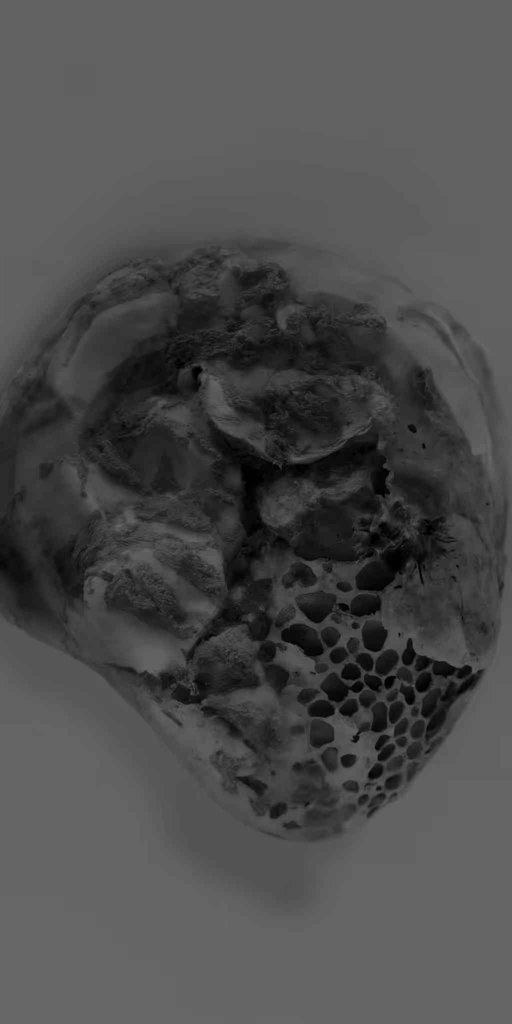 The Shell Record: Breathings of the Moon: Blackwall Point