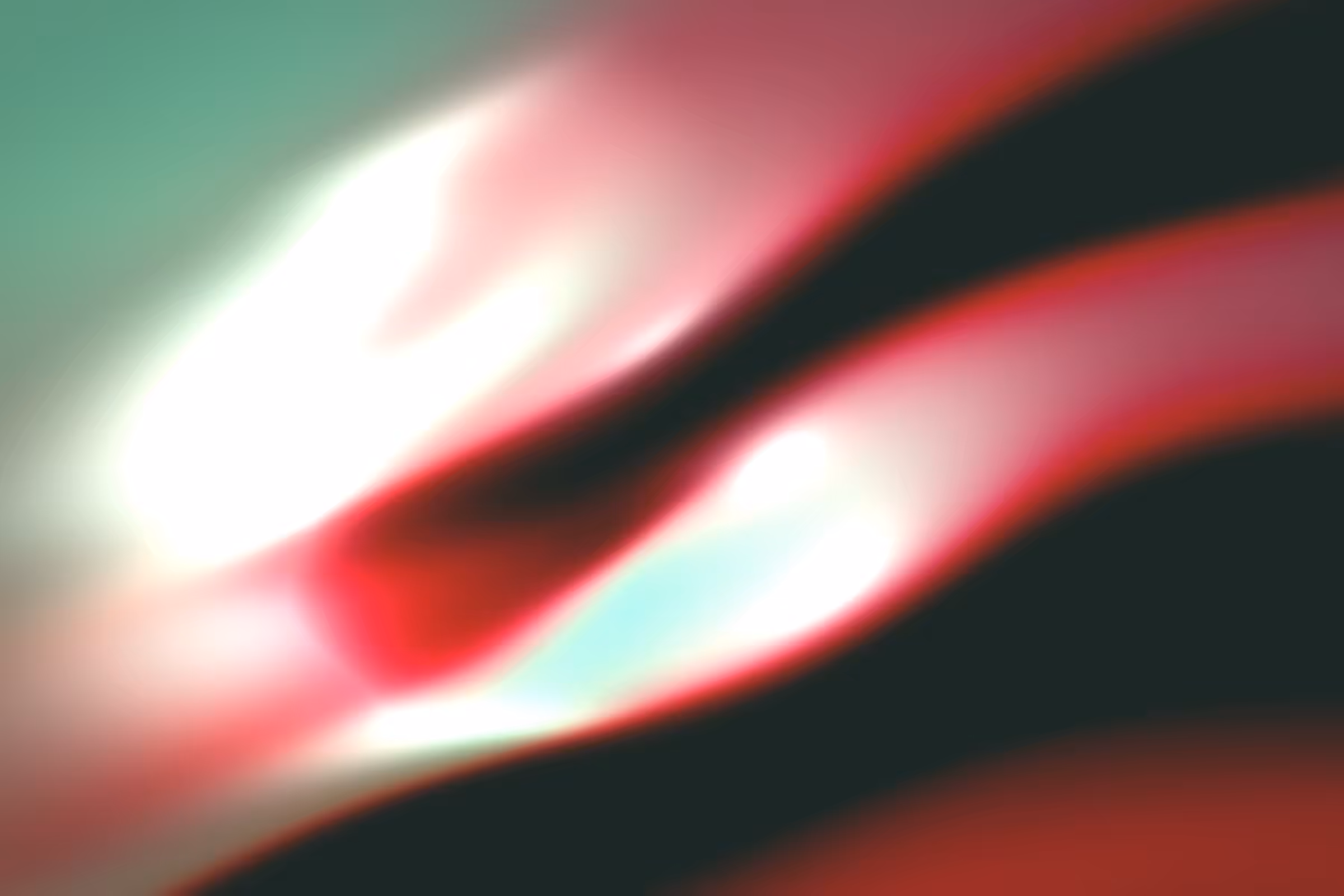 Flux #24