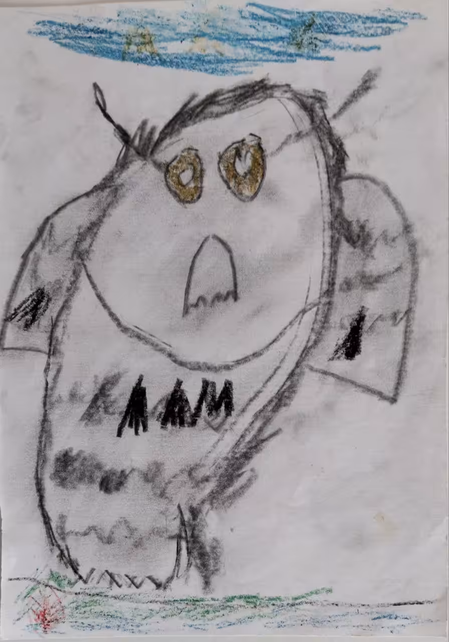 My little brother’s illustrations