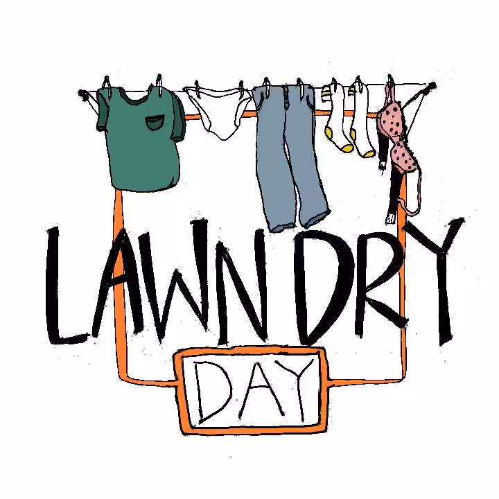 lawn dry day