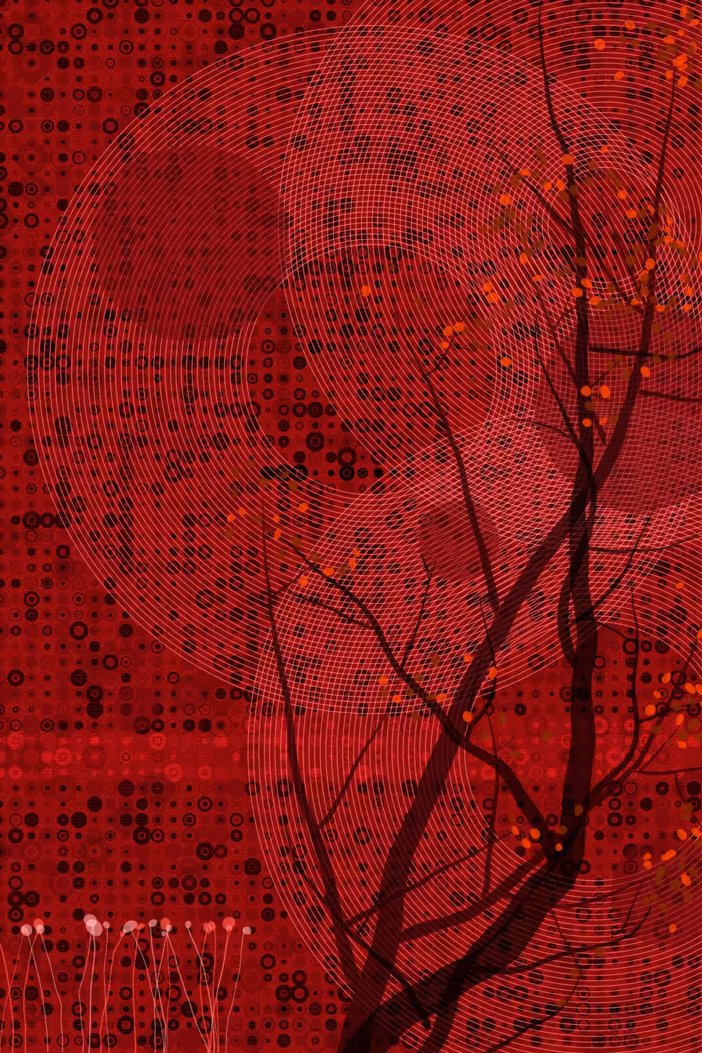 Bidaniel Tree #6