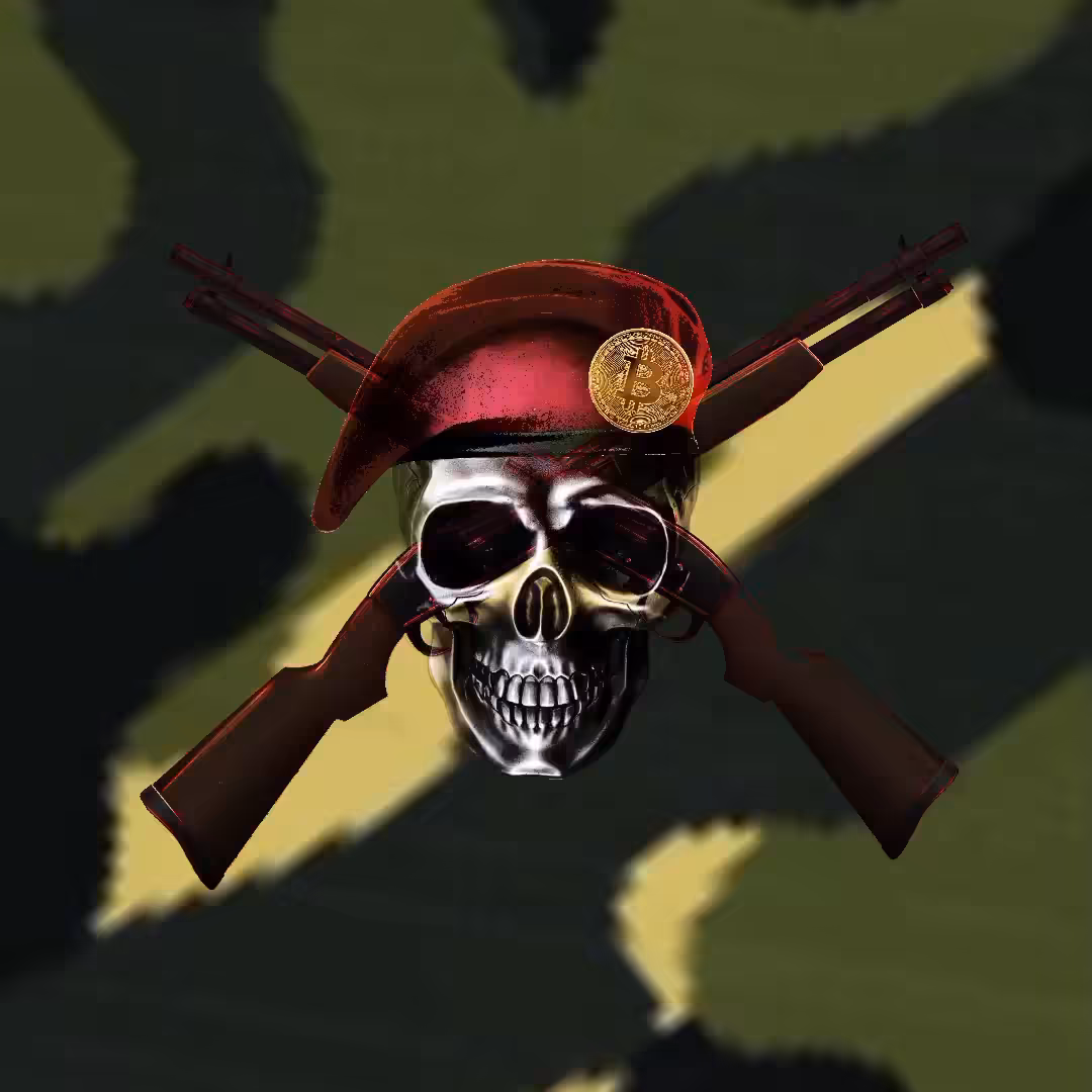 SKULL - BITCOINCAPTAIN - GUN
