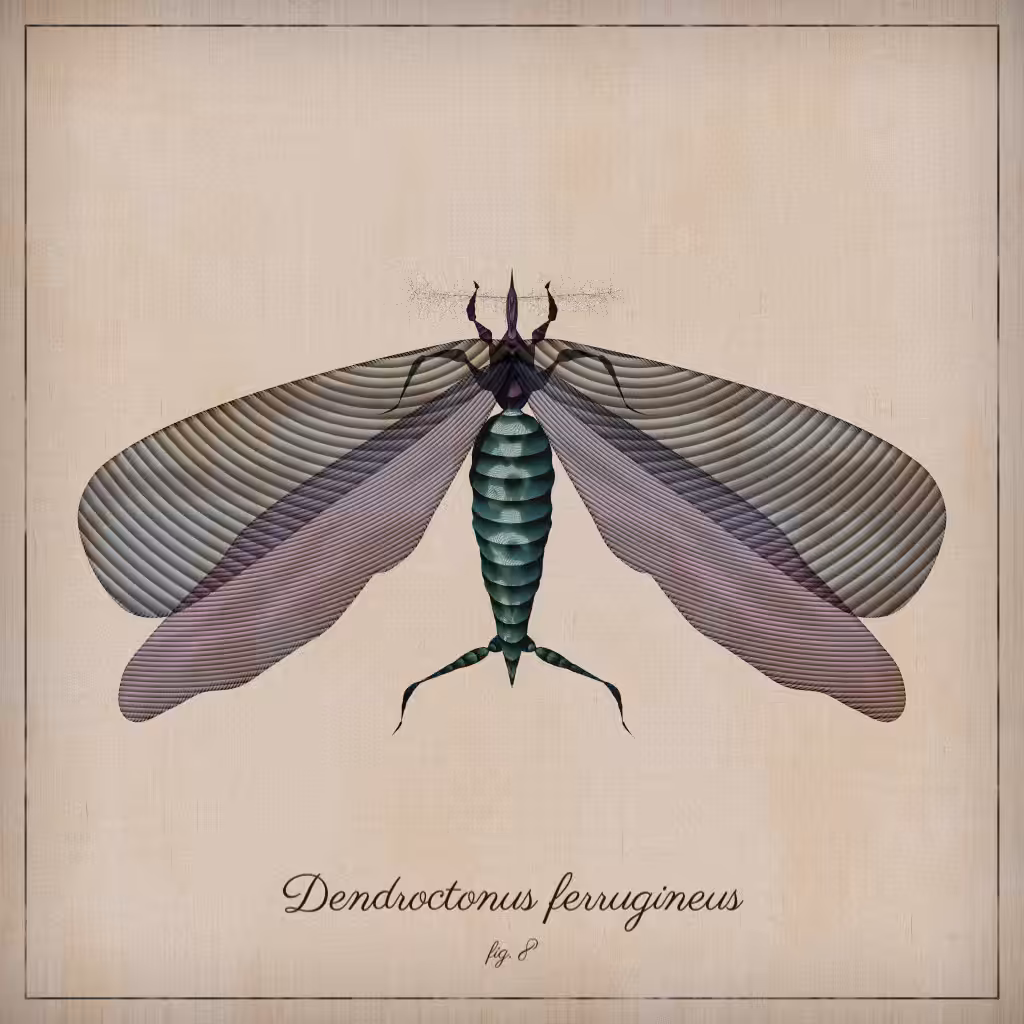 ProcGen Entomology #238