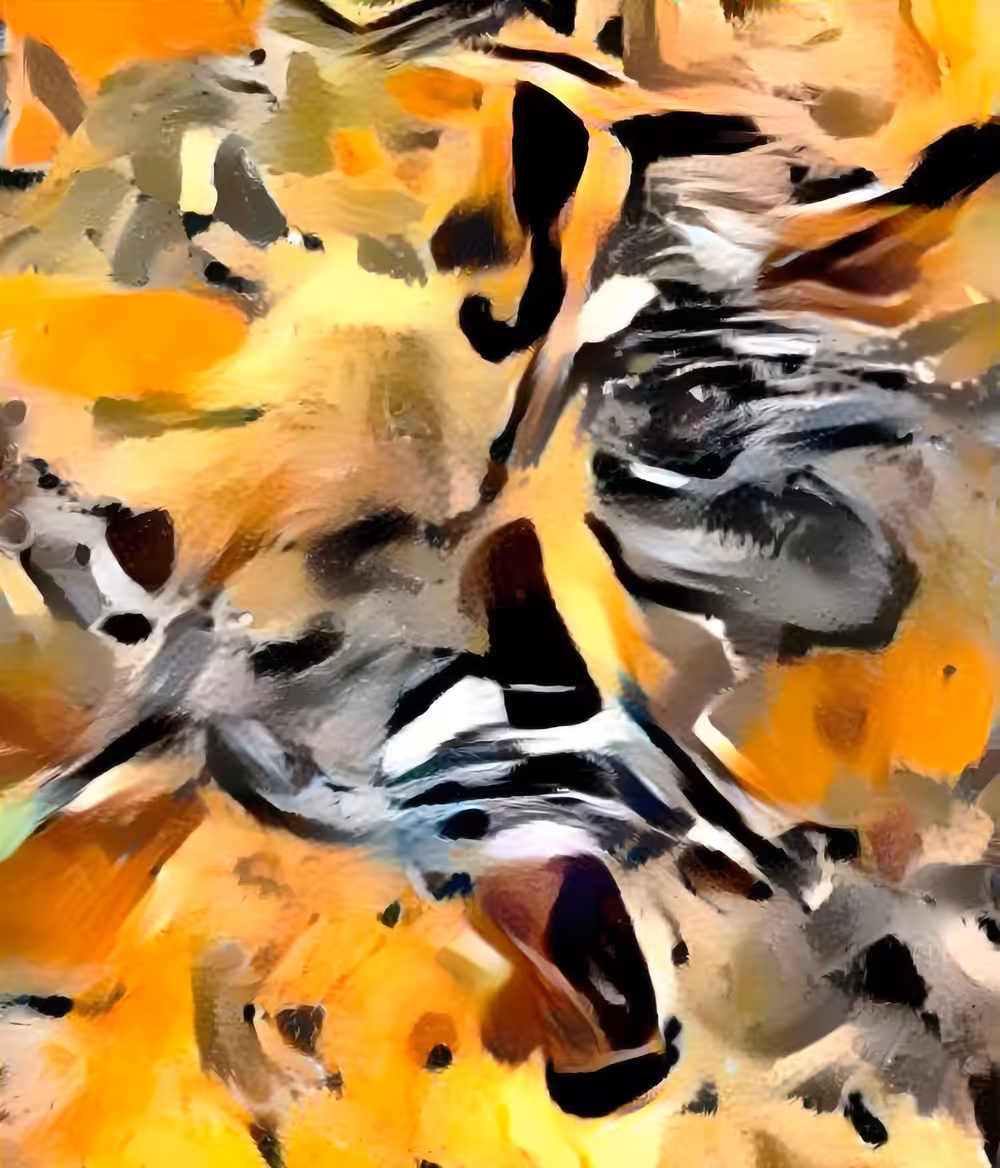 Hidden Tiger