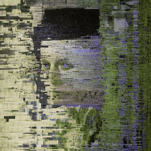 HIDDEN COGNITION