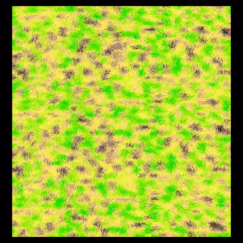 Pigmenta #14