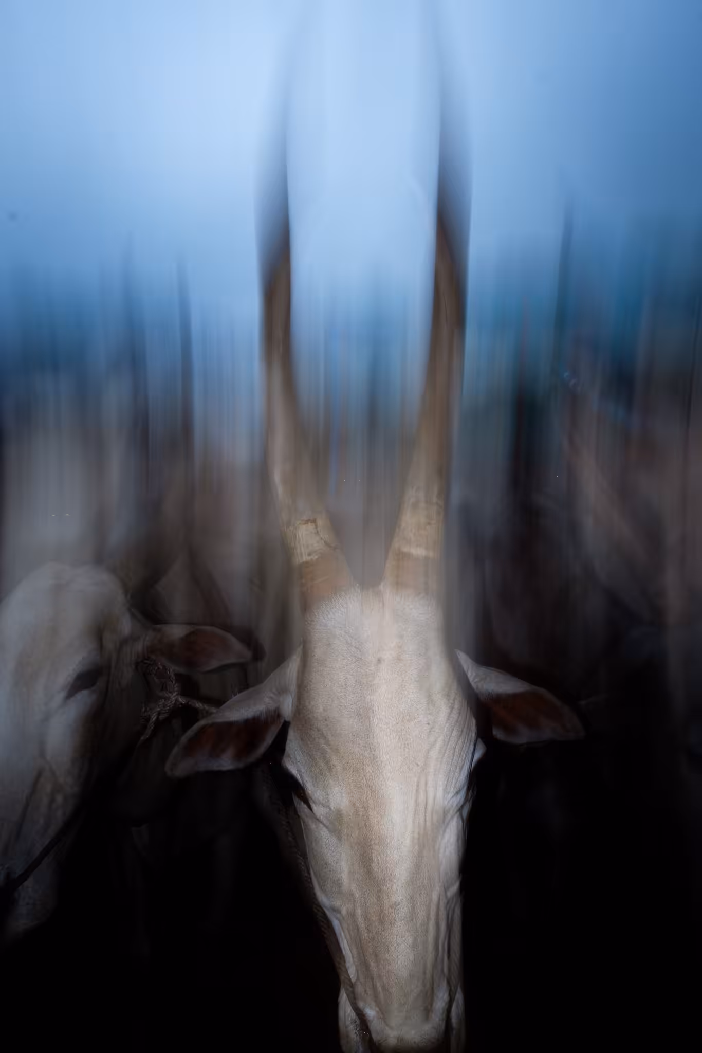 DEPARTING SOULS